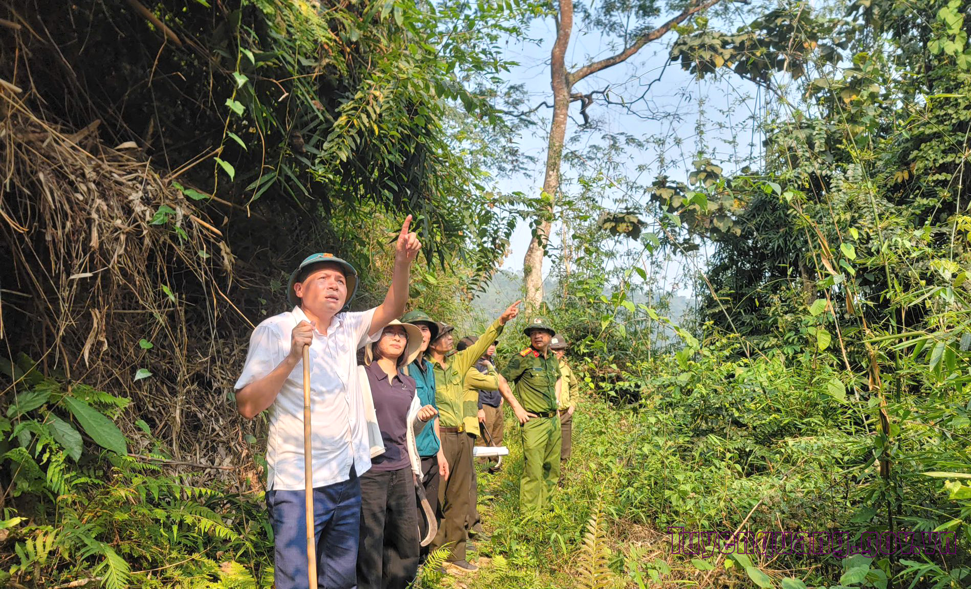Toàn tỉnh báo động đỏ nguy cơ cháy rừng cấp nguy hiểm và cực kỳ nguy hiểm