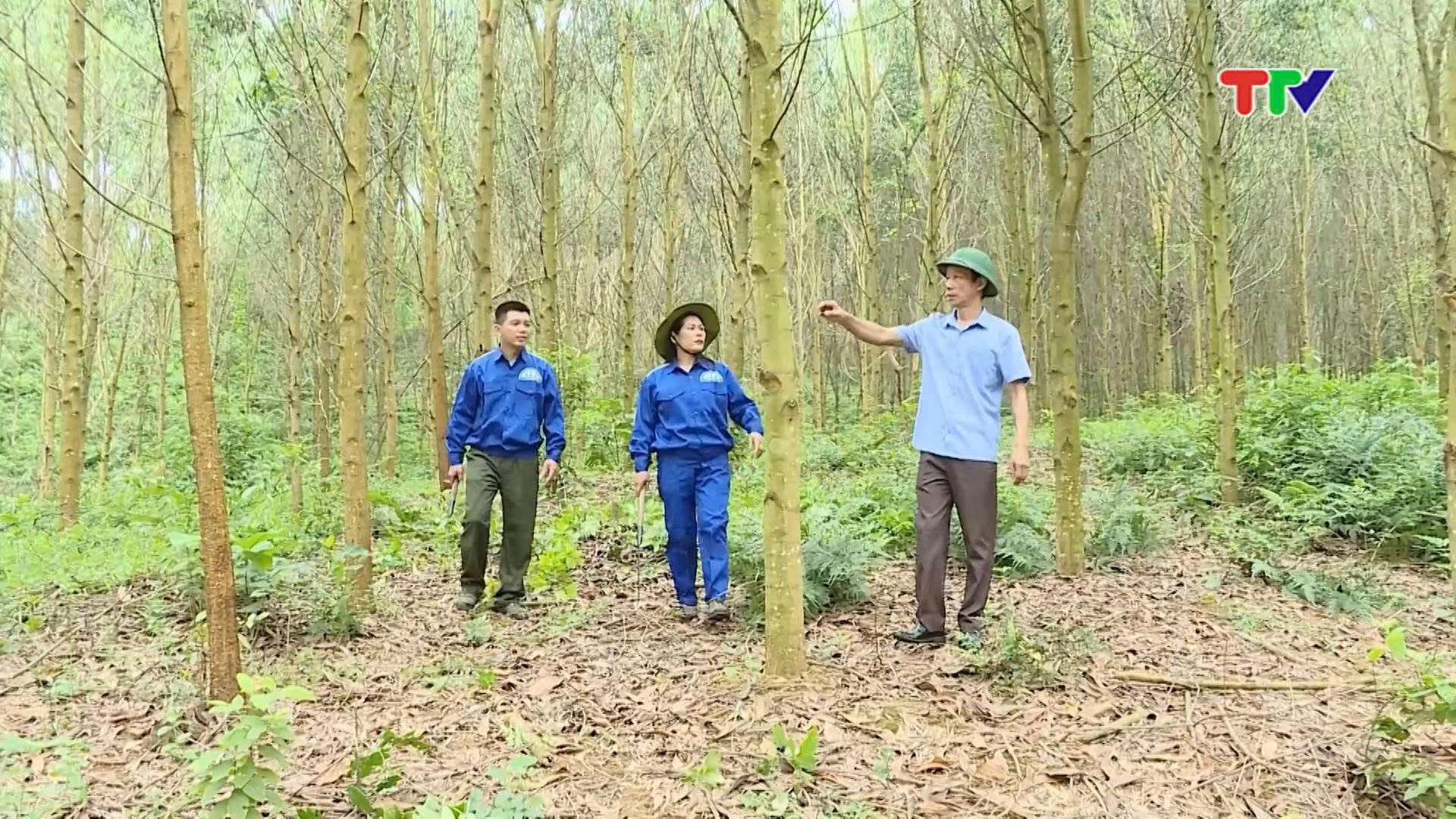 LIÊN KẾT BỀN VỮNG NÂNG CAO GIÁ TRỊ LÂM NGHIỆP