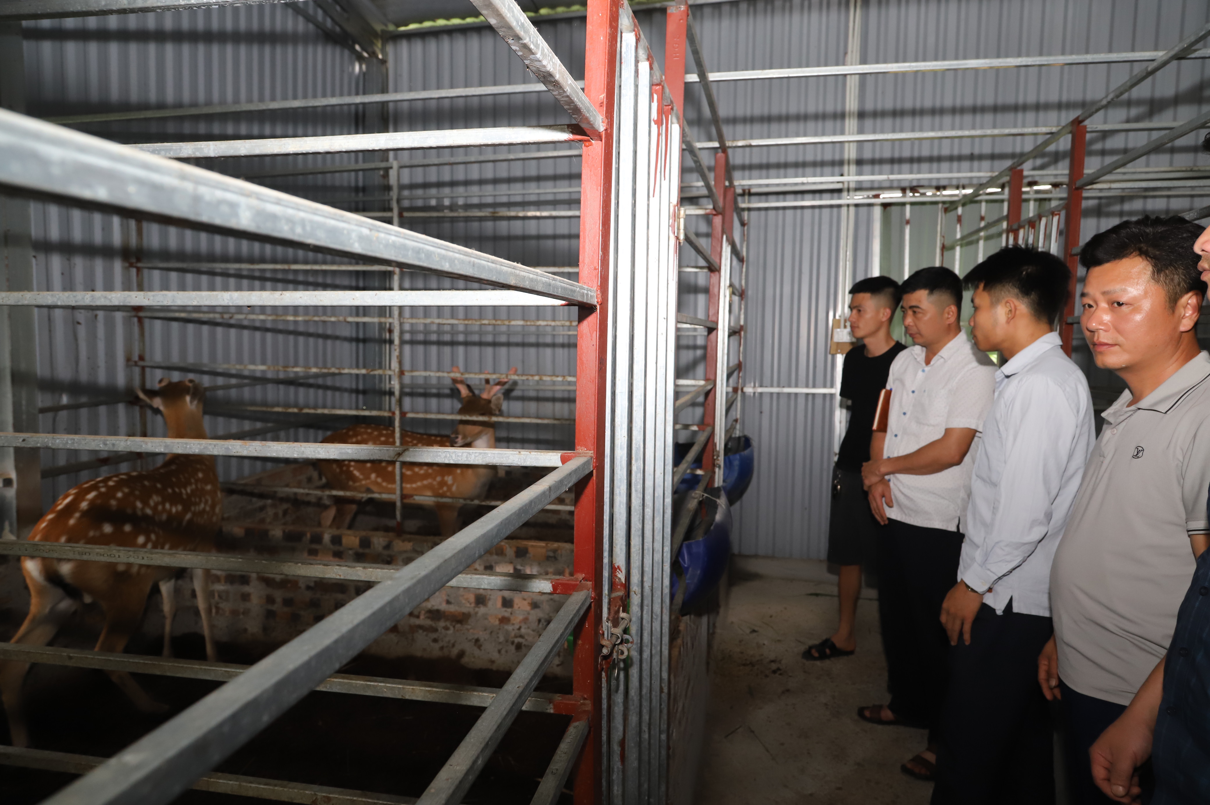 Nhóm sở thích nuôi hươu xã Liên Hiệp tham quan, học tập mô hình chăn nuôi hươu hiệu quả tại tỉnh Phú Thọ và Thái Nguyên