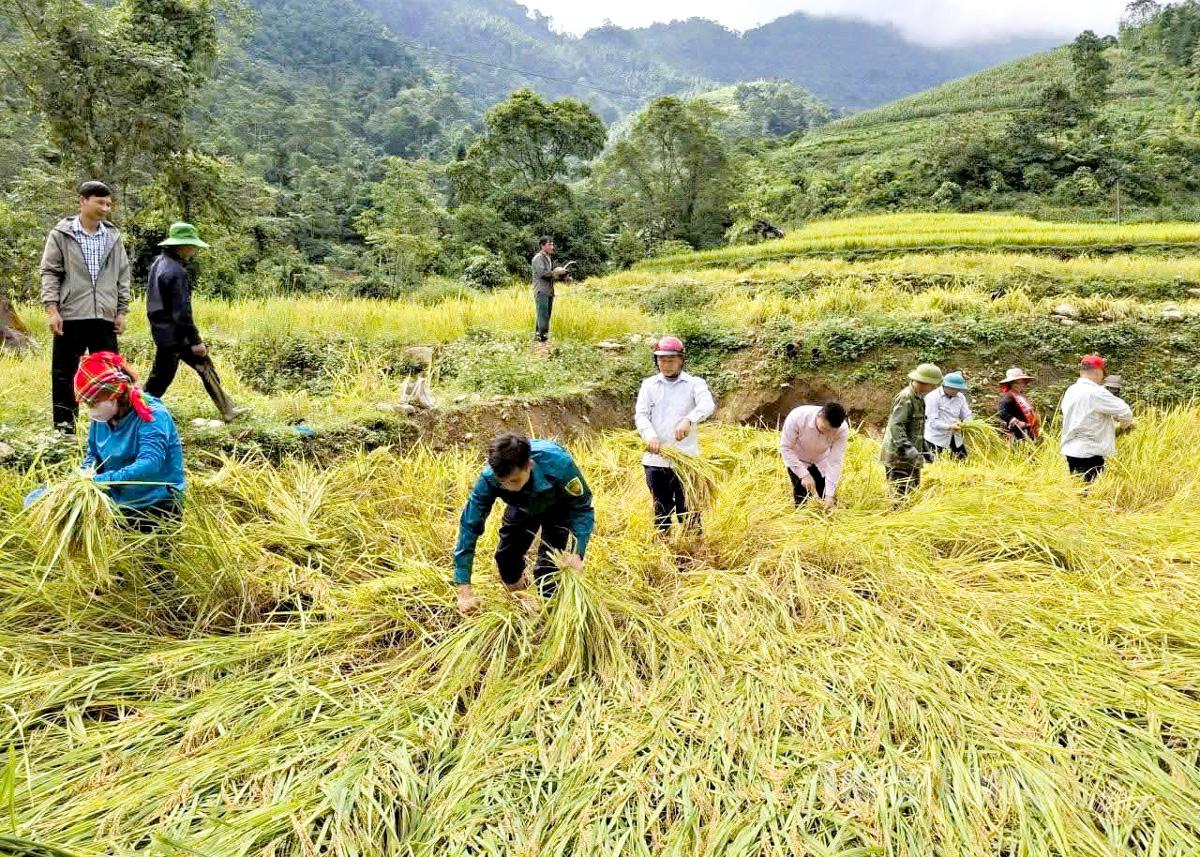 Khẩn trương khôi phục sản xuất sau bão số 10