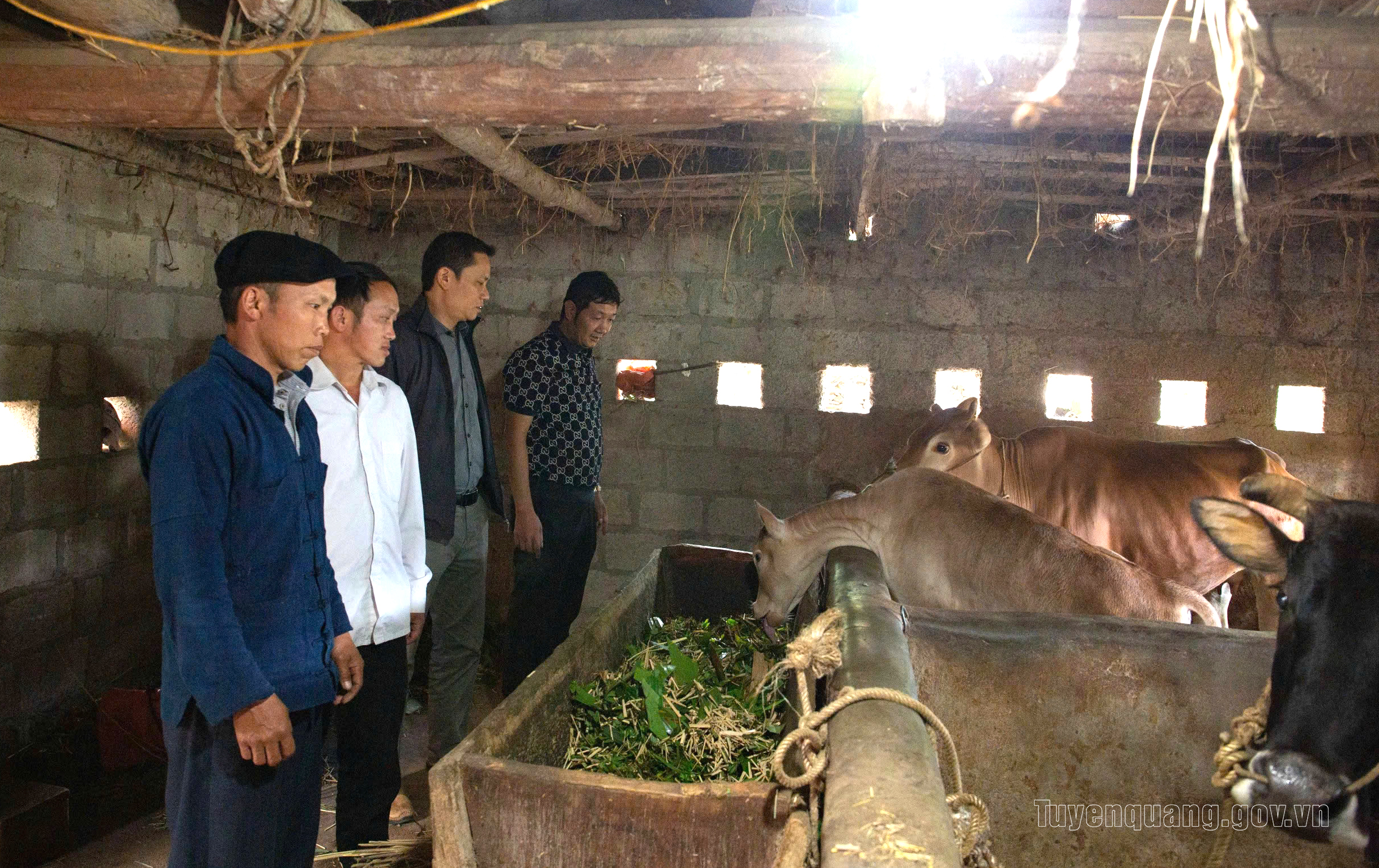 Phát huy hiệu quả tín dụng chính sách vì mục tiêu không để ai bị bỏ lại phía sau