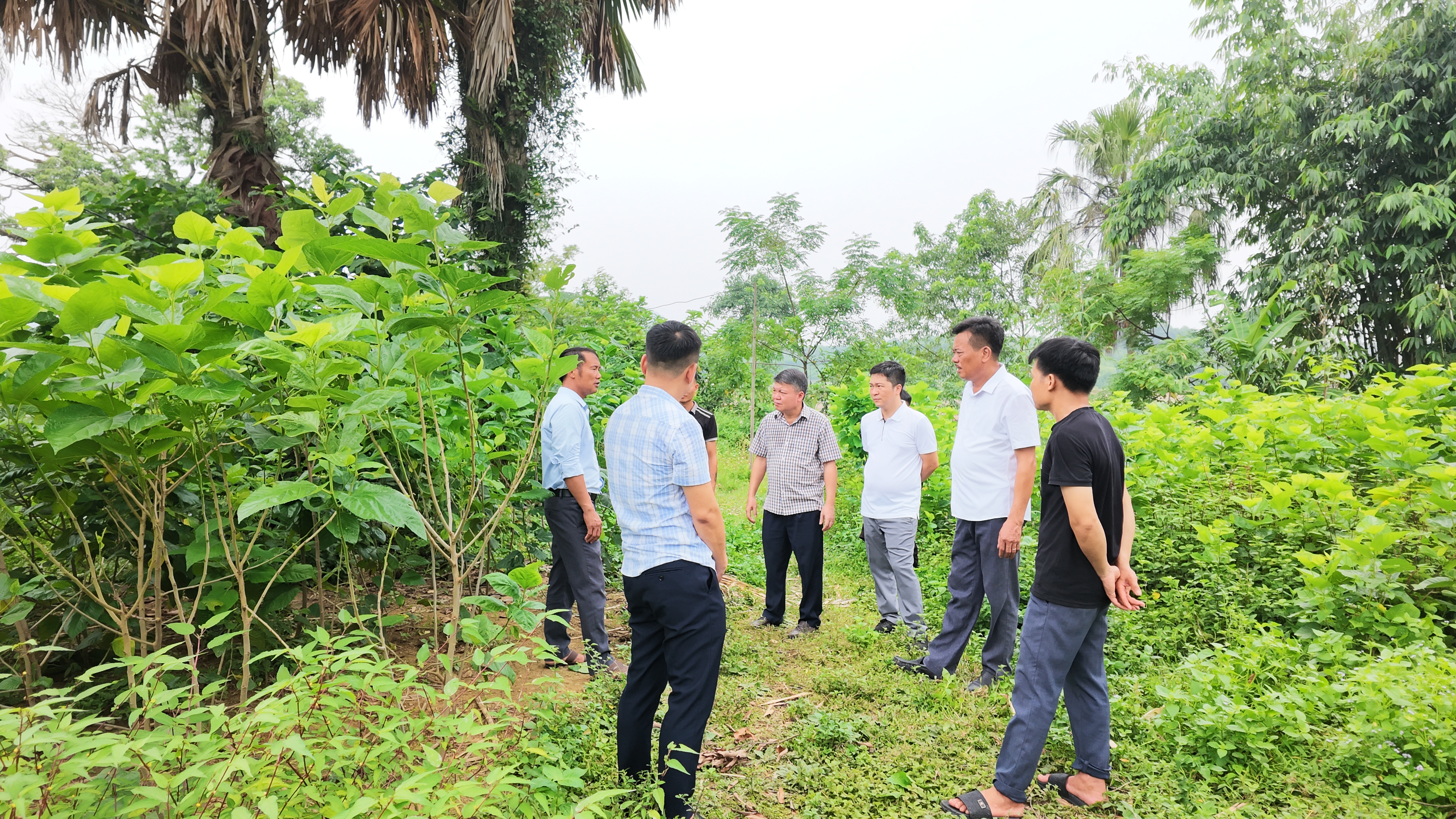 Tằm 3.JPG