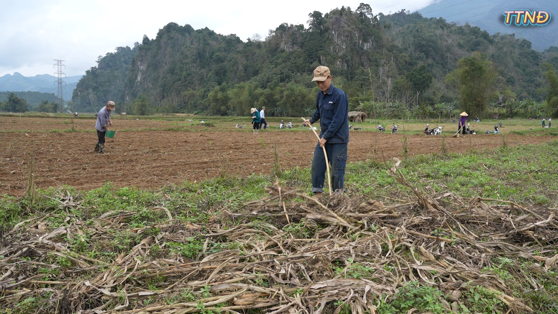 Nhân dân xã Ngọc Đường tích cực sản xuất vụ xuân đầu năm
