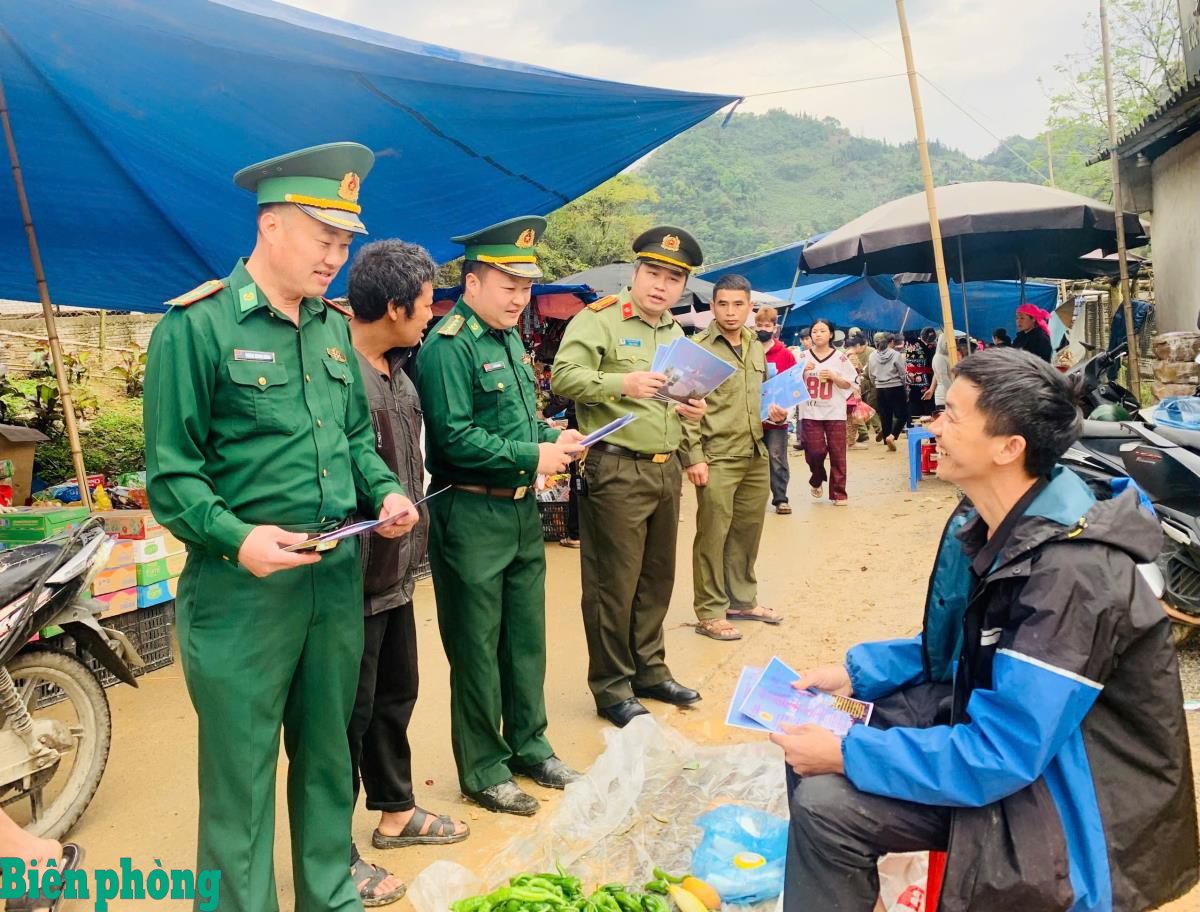 Chủ động phòng, ngừa tình trạng tái trồng cây thuốc phiện ở khu vực biên giới. 