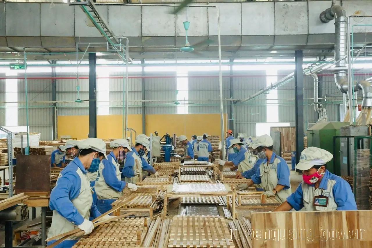 Tuyên Quang triển khai Kế hoạch phát triển kinh tế tư nhân trở thành động lực quan trọng của tỉnh