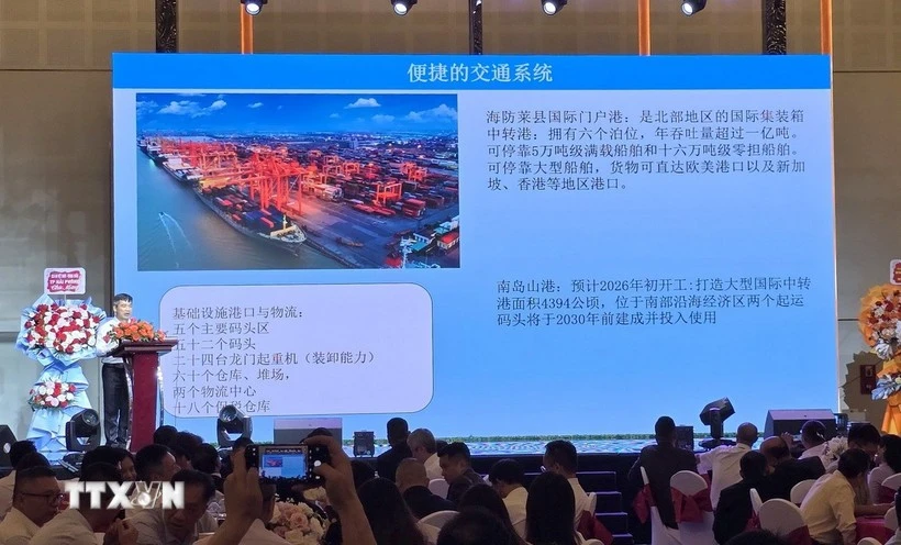 Vietnam – China friendship exchange fortifies business ties in Hai Phong