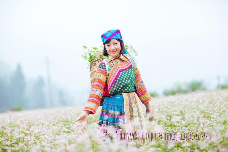 Sắc hồng thức giấc giữa vùng đá xám