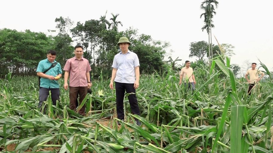 Bí thư Đảng ủy, Chủ tịch HĐND xã Phan Ngọc Hiệp kiểm tra tình hình thiên tai