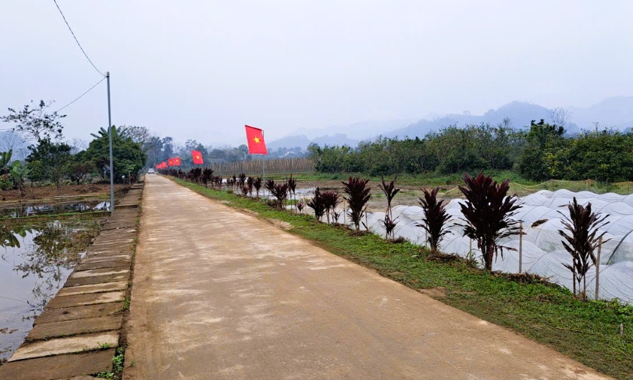 Đồng Yên rực rỡ cơ hoa chào mừng các sự kiện chính trị trọng đại