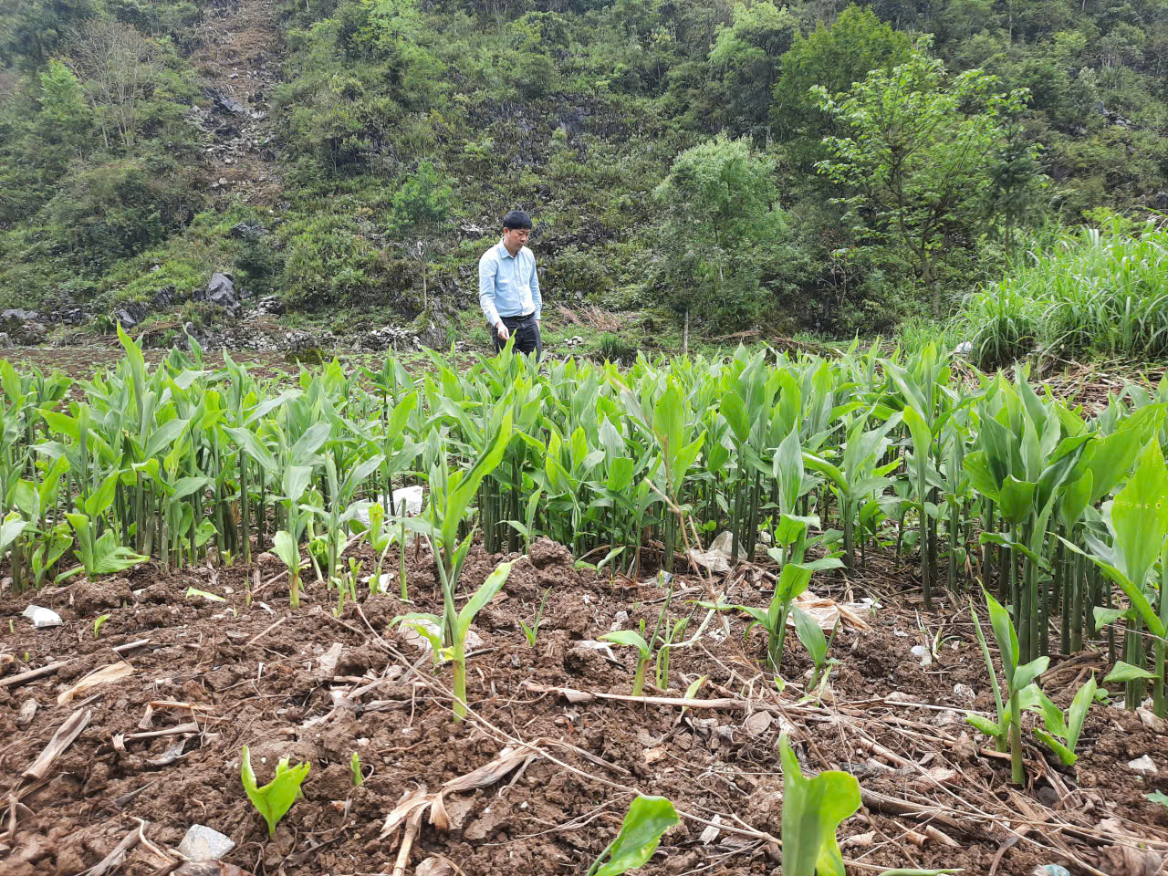 Đồng chí Nguyễn Thanh Viễn - Phó Bí thư Thường trực Đảng uỷ xã thăm, kiểm tra các mô hình phát triển kinh tế tại thôn Tả Sán.