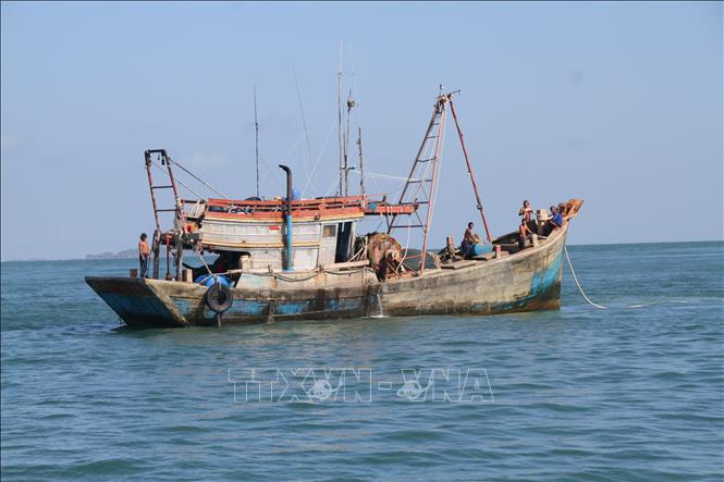 Cà Mau quyết liệt chống khai thác IUU, đã số hóa quản lý toàn bộ tàu cá