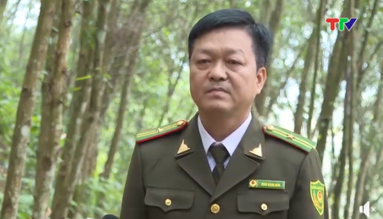 Nâng cao chất lượng rừng trồng