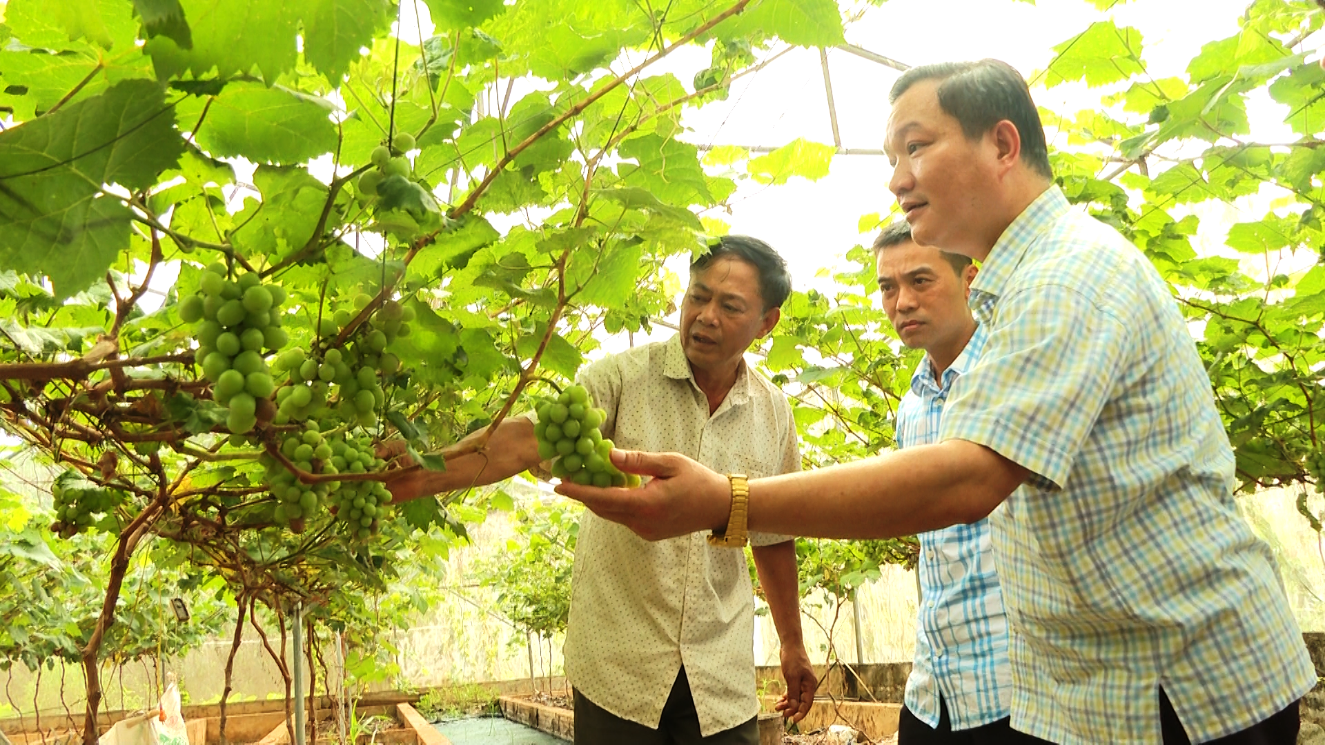 Bí thư Đảng ủy xã Vị Xuyên làm việc tại thôn Tân Đức.
