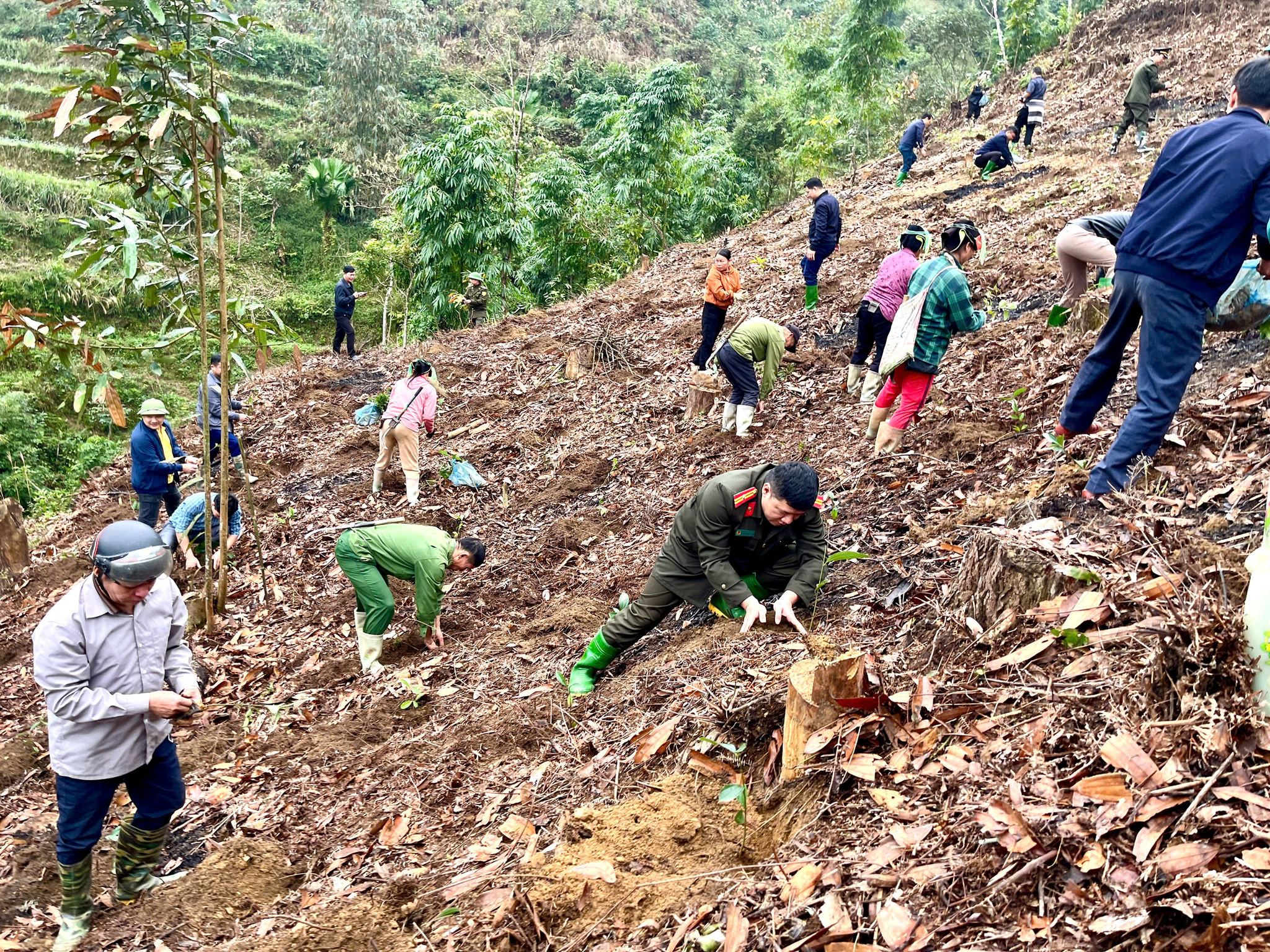 CÔNG AN XÃ CAO BỒ HƯỞNG ỨNG TẾT TRỒNG CÂY NĂM 2026