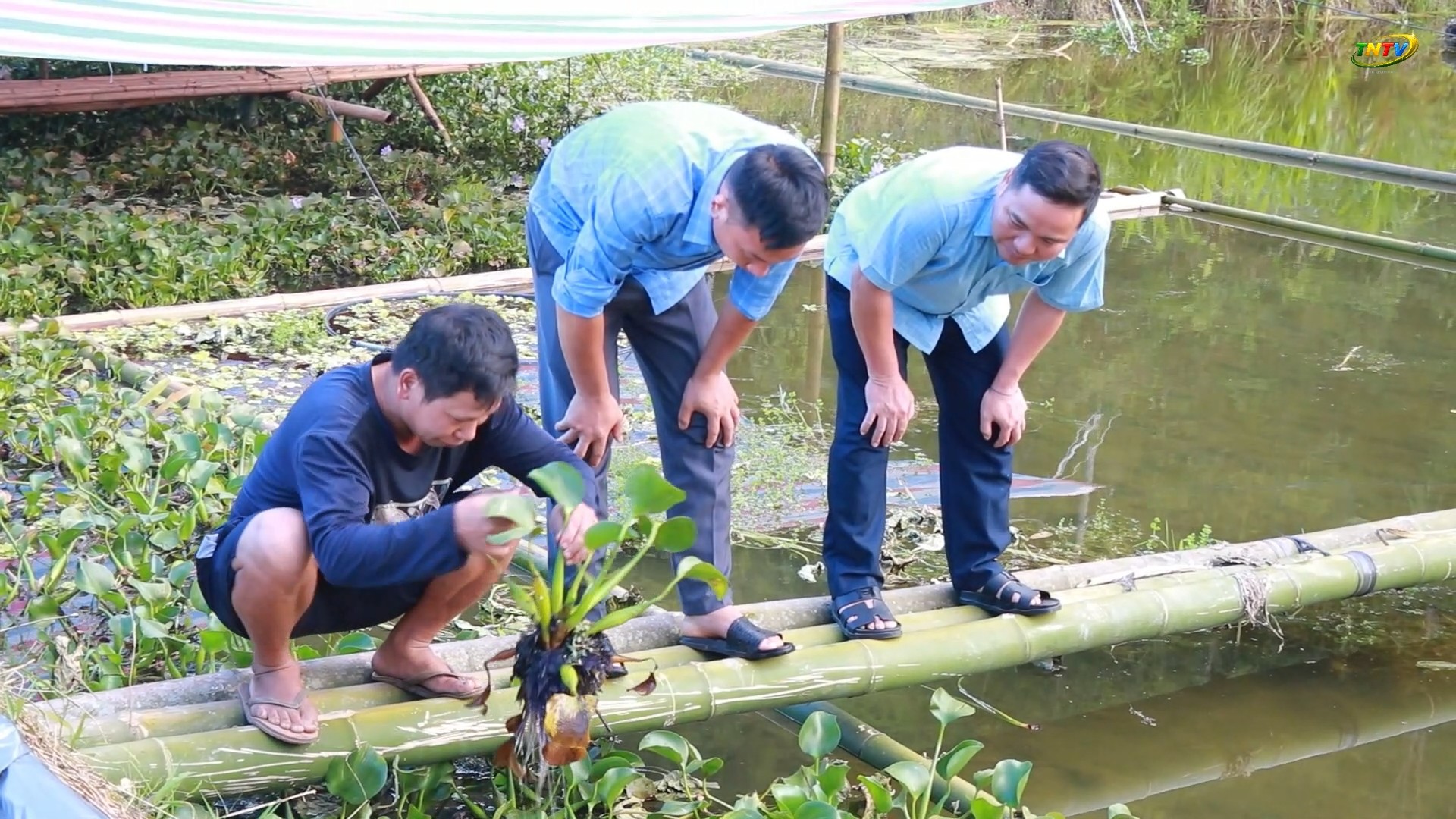 Đồng chí Phó Chủ tịch UBND xã Tiên Nguyên kiểm tra các mô hình phát triển sản xuất tại thôn Nậm Cài