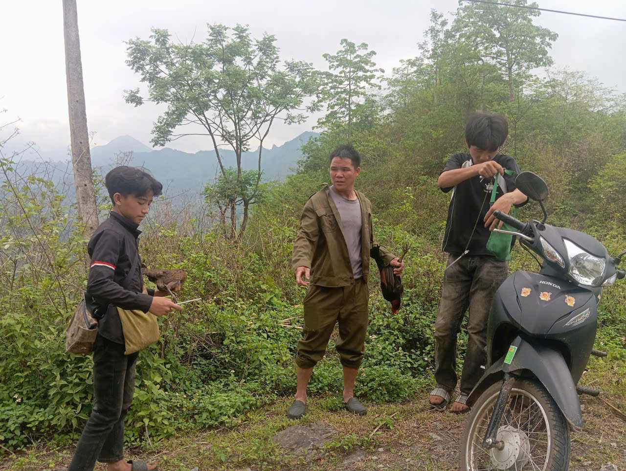 CHUNG TAY BẢO VỆ ĐỘNG VẬT HOANG DÃ – BẢO VỆ SỰ SỐNG CỦA CHÍNH CHÚNG TA