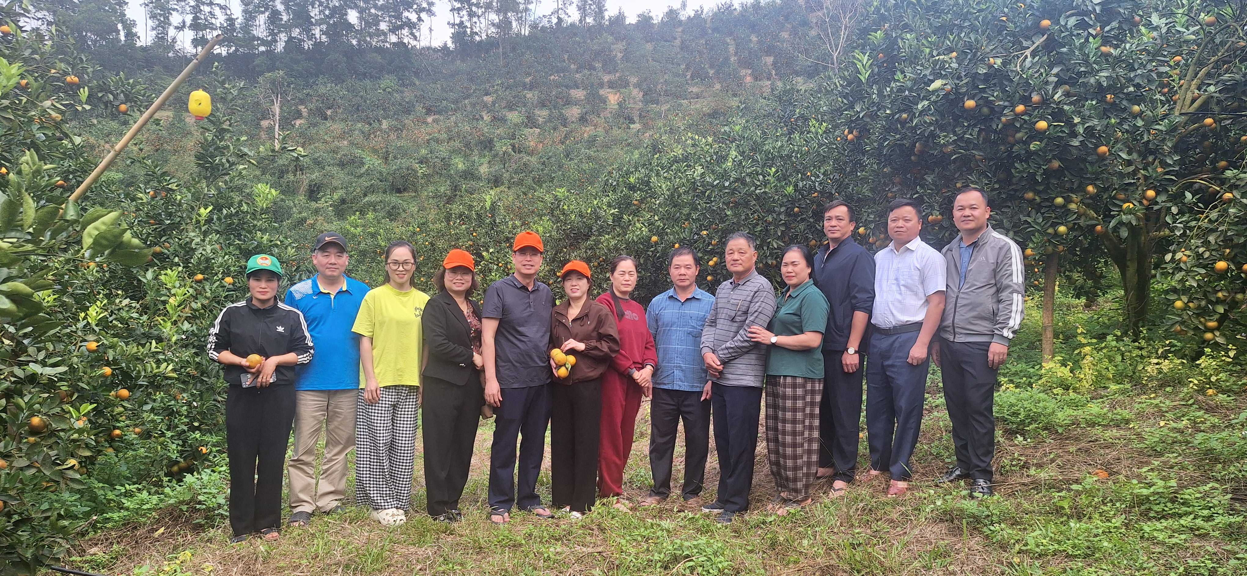 ỦY BAN NHÂN DÂN XÃ YÊN PHÚ, TỈNH TUYÊN QUANG TỔ CHỨC BUỔI THĂM QUAN, HỌC TẬP MÔ HÌNH TRỒNG CAM TRÊN ĐỊA BÀN XÃ