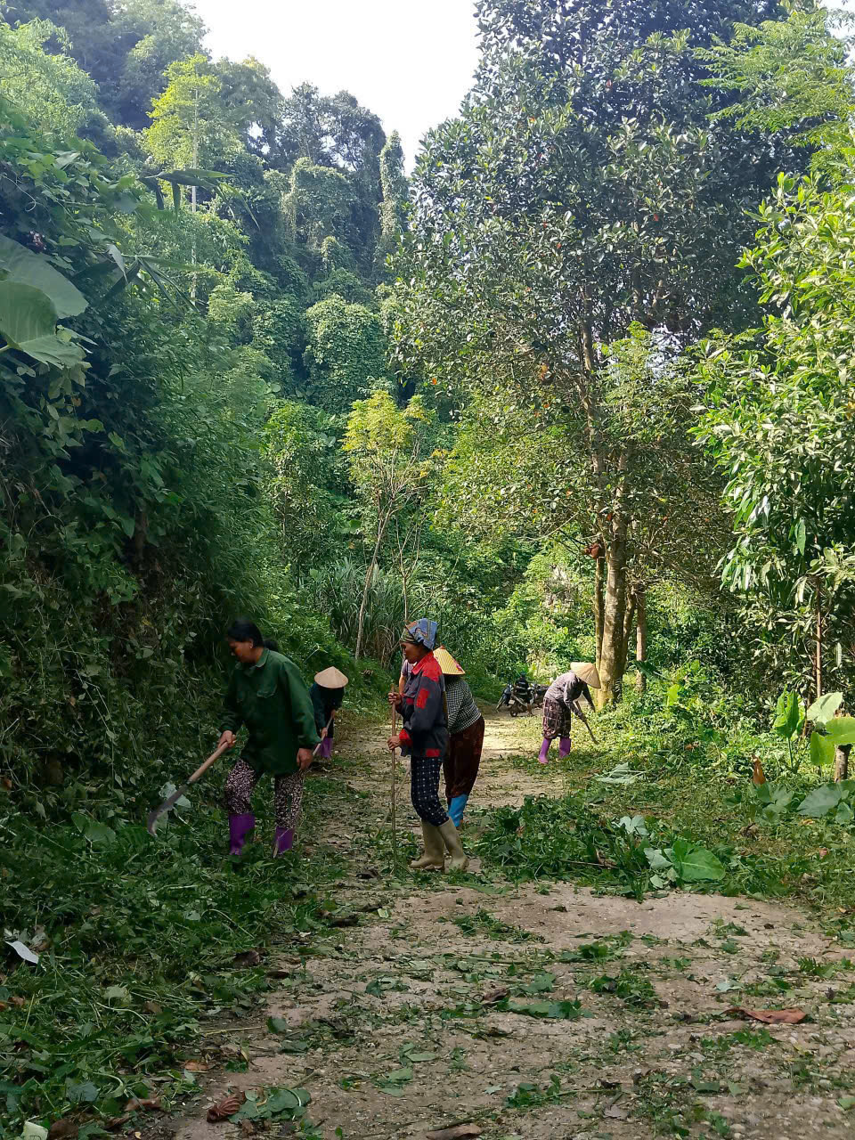 Thôn ko biết.jpg