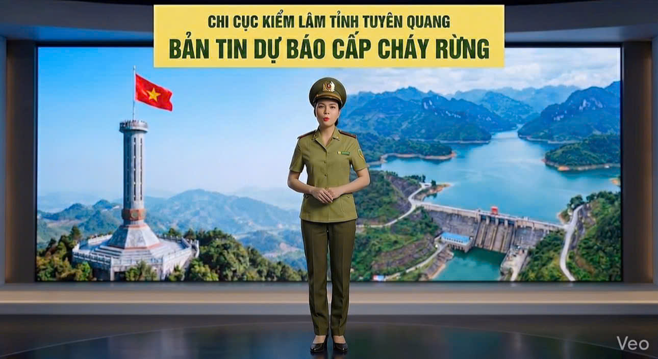 Bản tin dự báo cấp cháy rừng trên địa bàn tỉnh Tuyên Quang