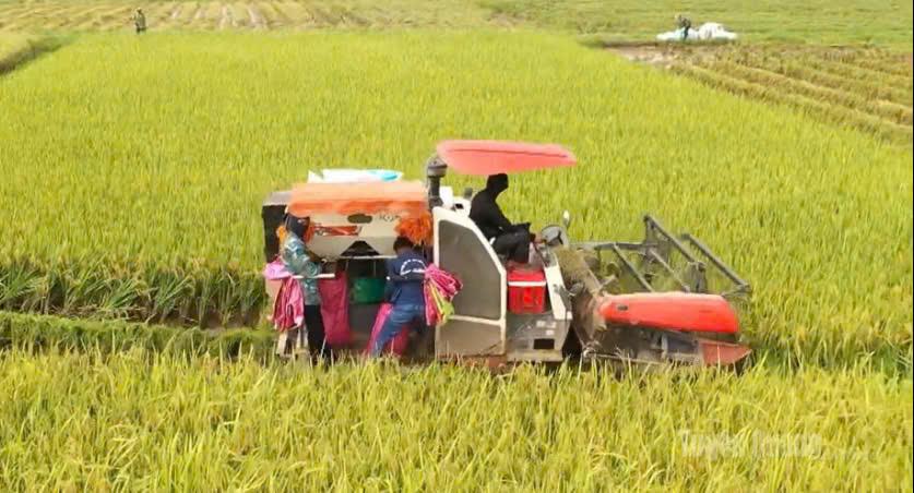 Mechanization: A Leverage for the Rural Economy