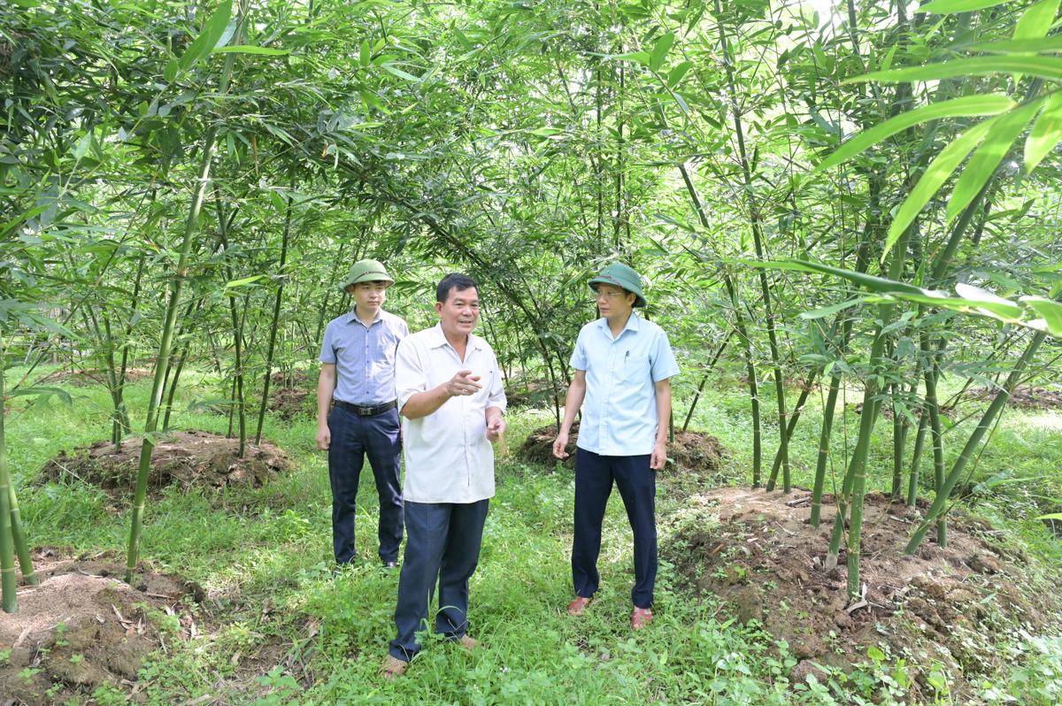 Đồng chí Mai Hồng Hà thăm các mô hình phát triển kinh tế trên địa bàn xã Hàm Yên