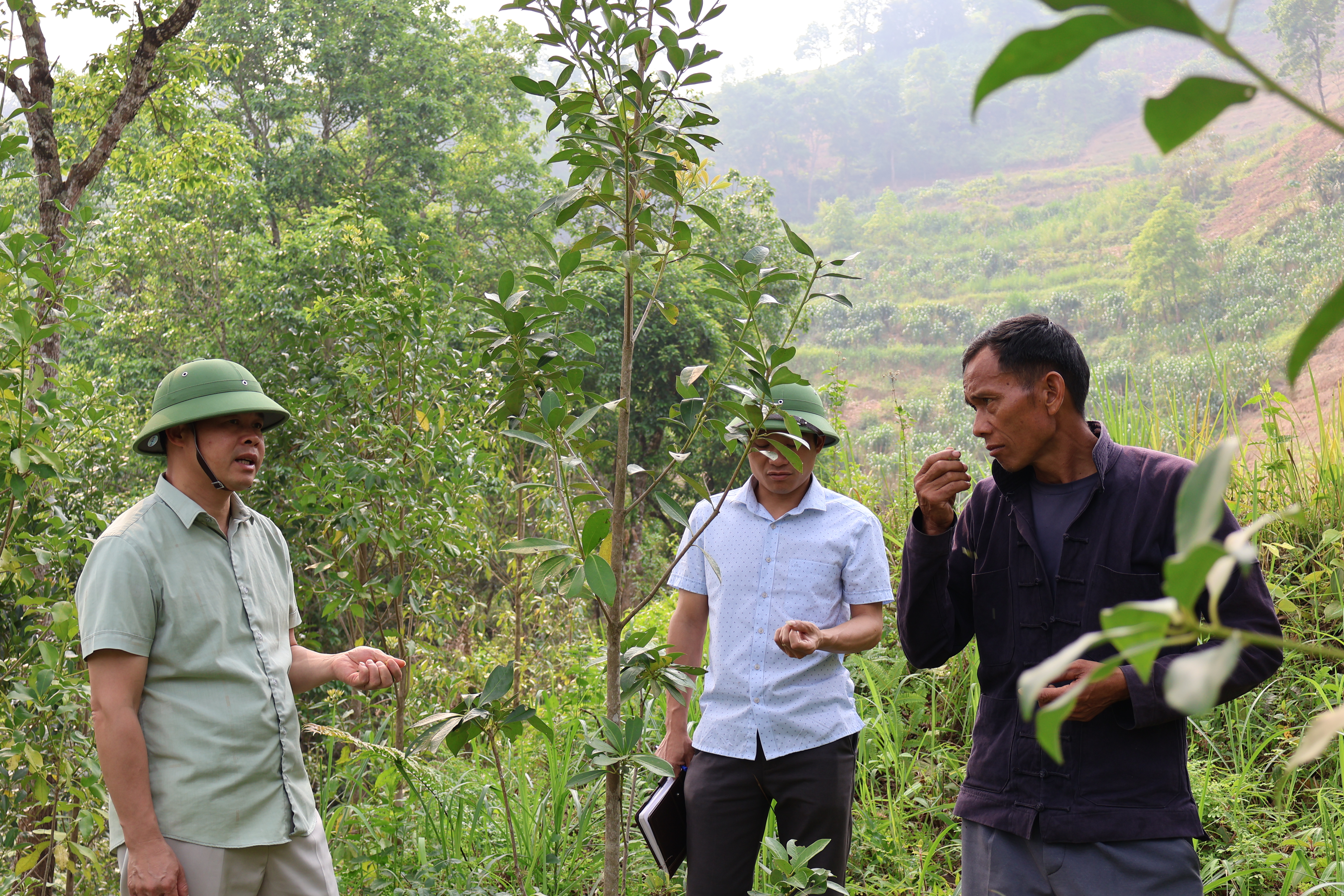 Đồng chí Viên Quang Chương kiểm tra tình hình phát triển một số loại cây trồng, có tiềm năng phát triển tại xã Cán T