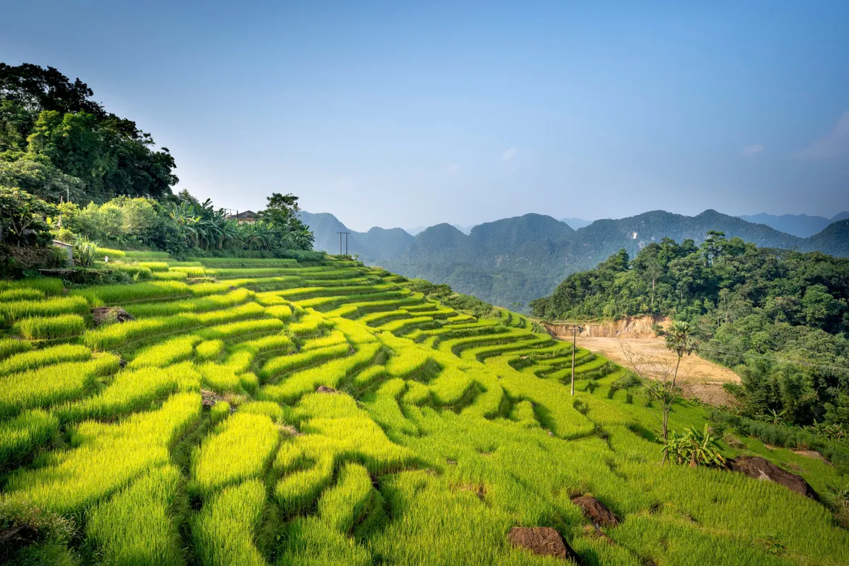 Pù Luông - "Liều thuốc xanh" cho sức khỏe thể chất và tinh thần