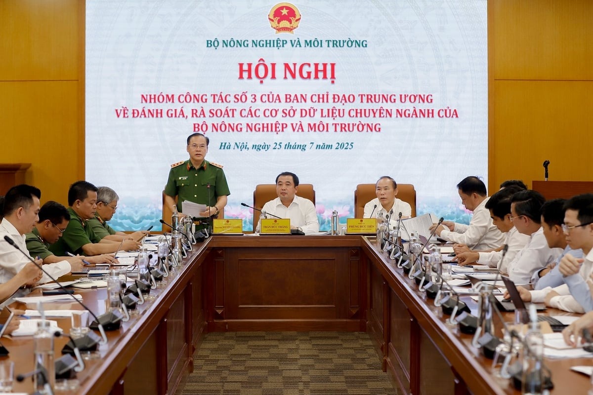 baonnmt_20250725_hoi-nghi-to-03 (2).jpg