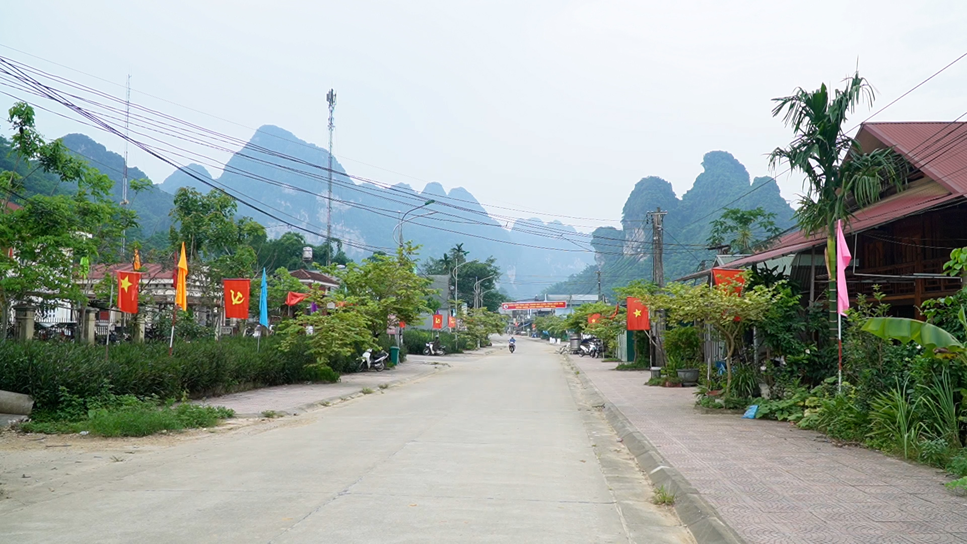b8.jpg