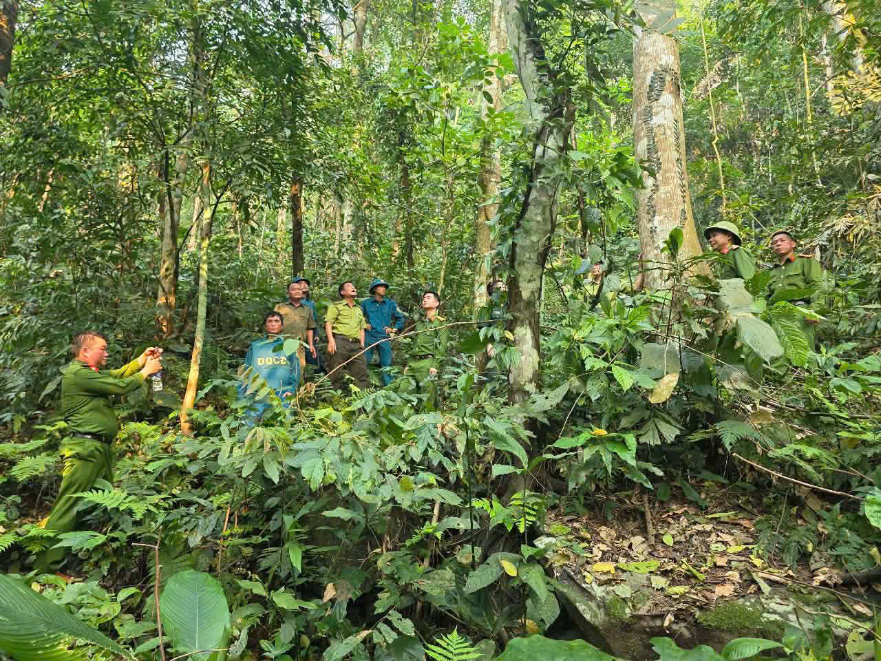 CÔNG AN XÃ ĐỒNG TÂM PHỐI HỢP TUẦN TRA BẢO VỆ RỪNG, PCCC RỪNG