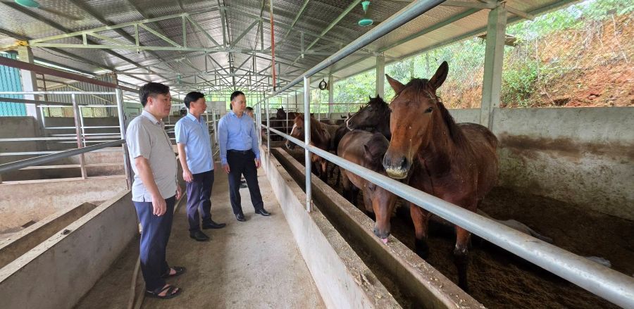 Thường trực HĐND xã làm việc tại thôn Đoàn Kết