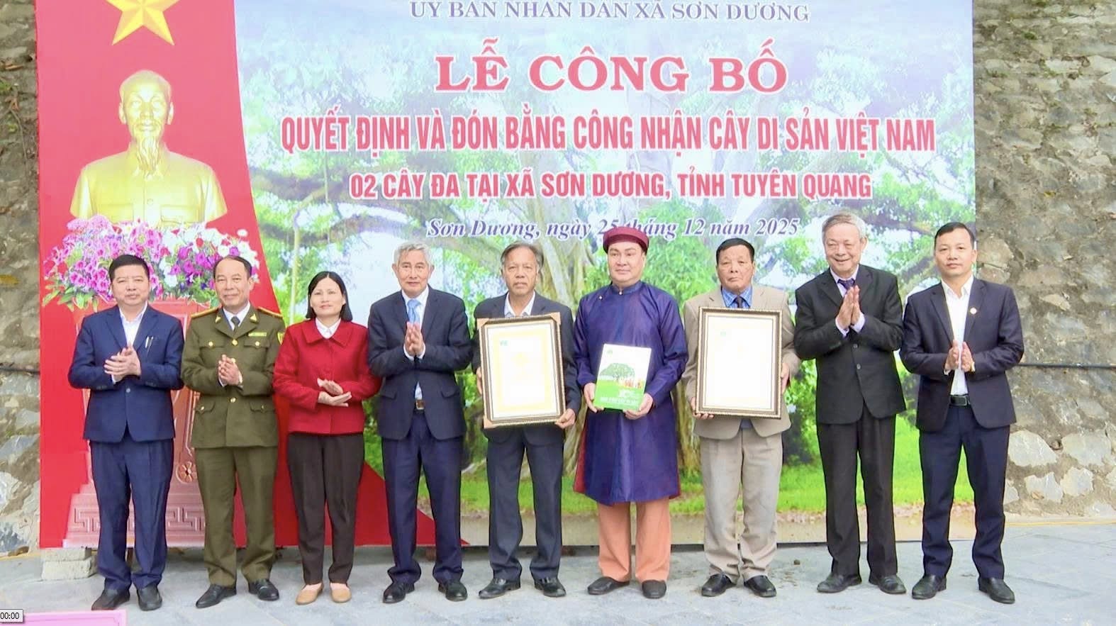 Công nhận 02 Cây Đa xã Sơn Dương là Cây Di sản Việt Nam