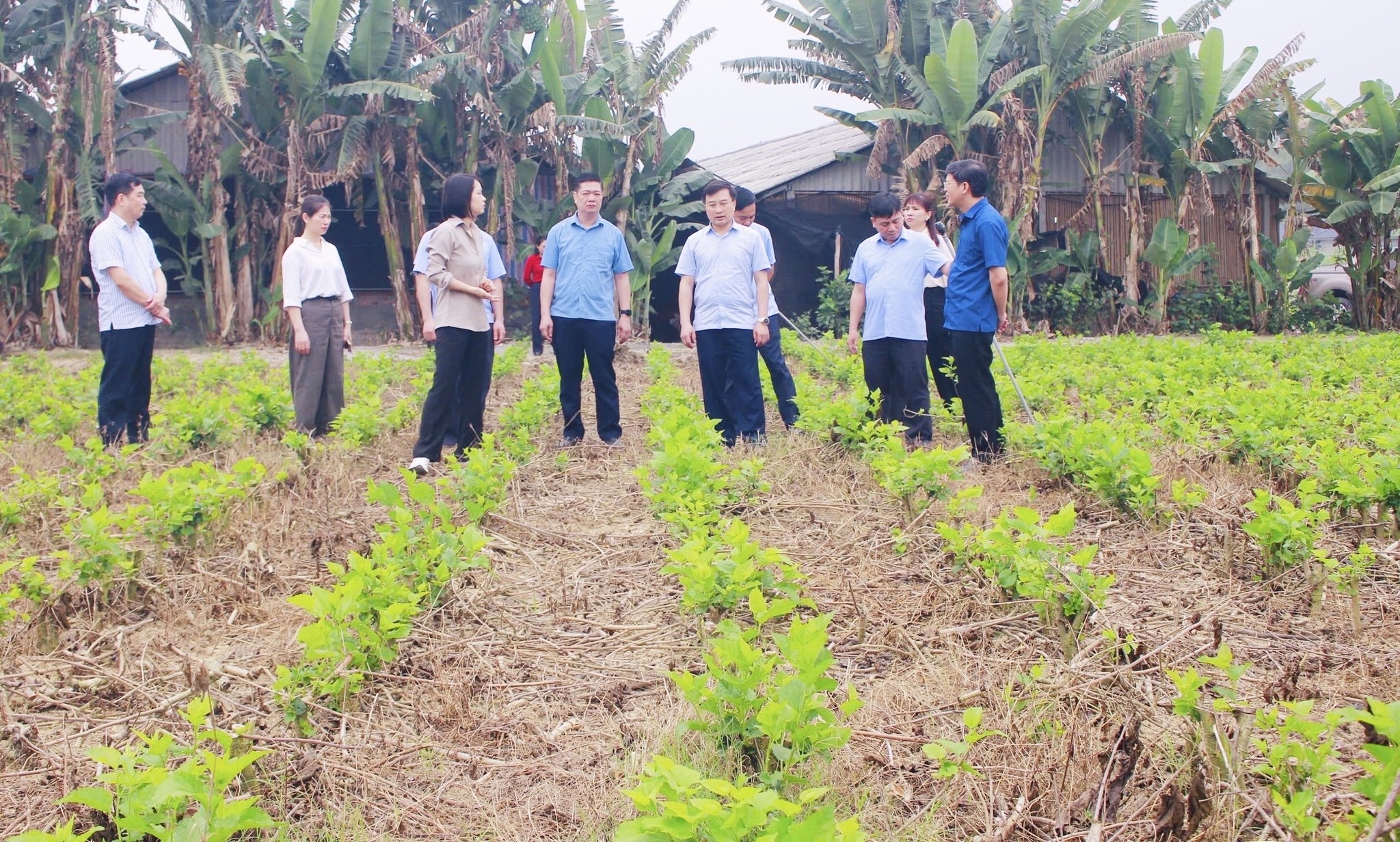 Sở Nông nghiệp và Môi trường khảo sát, trao đổi phương án phát triển vùng trồng dâu và nuôi tằm trên địa bàn tỉnh Tuyên Quang