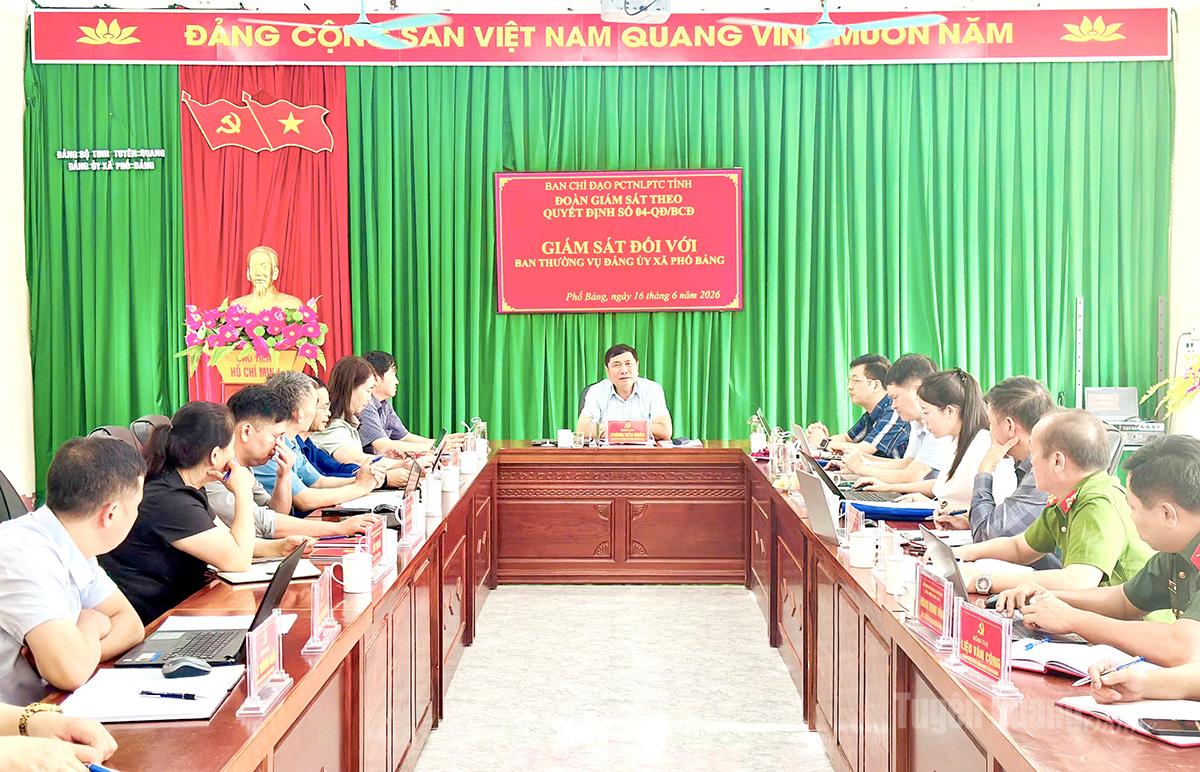 Đoàn giám sát số 04 của tỉnh giám sát tại xã Phố Bảng