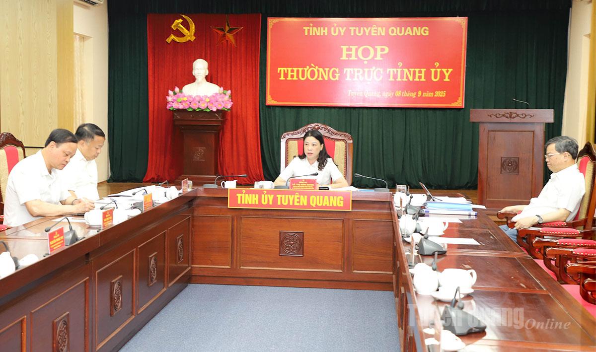 Thường trực Tỉnh ủy họp cho ý kiến nhiều nội dung quan trọng