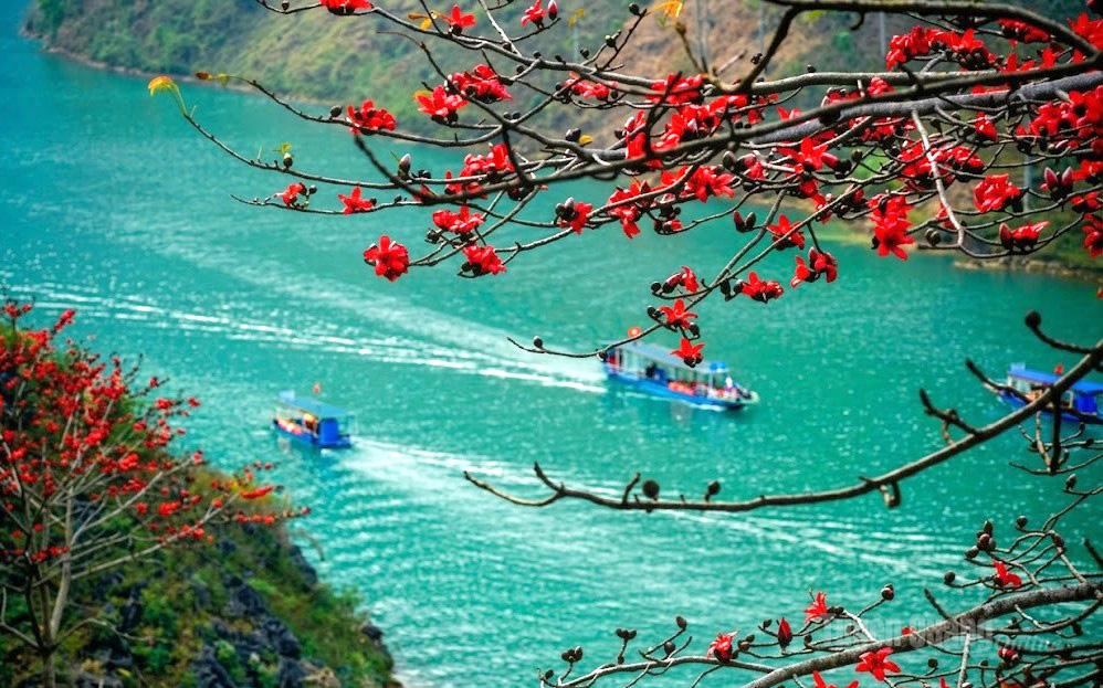 Khâu vai "miền đá nở hoa"