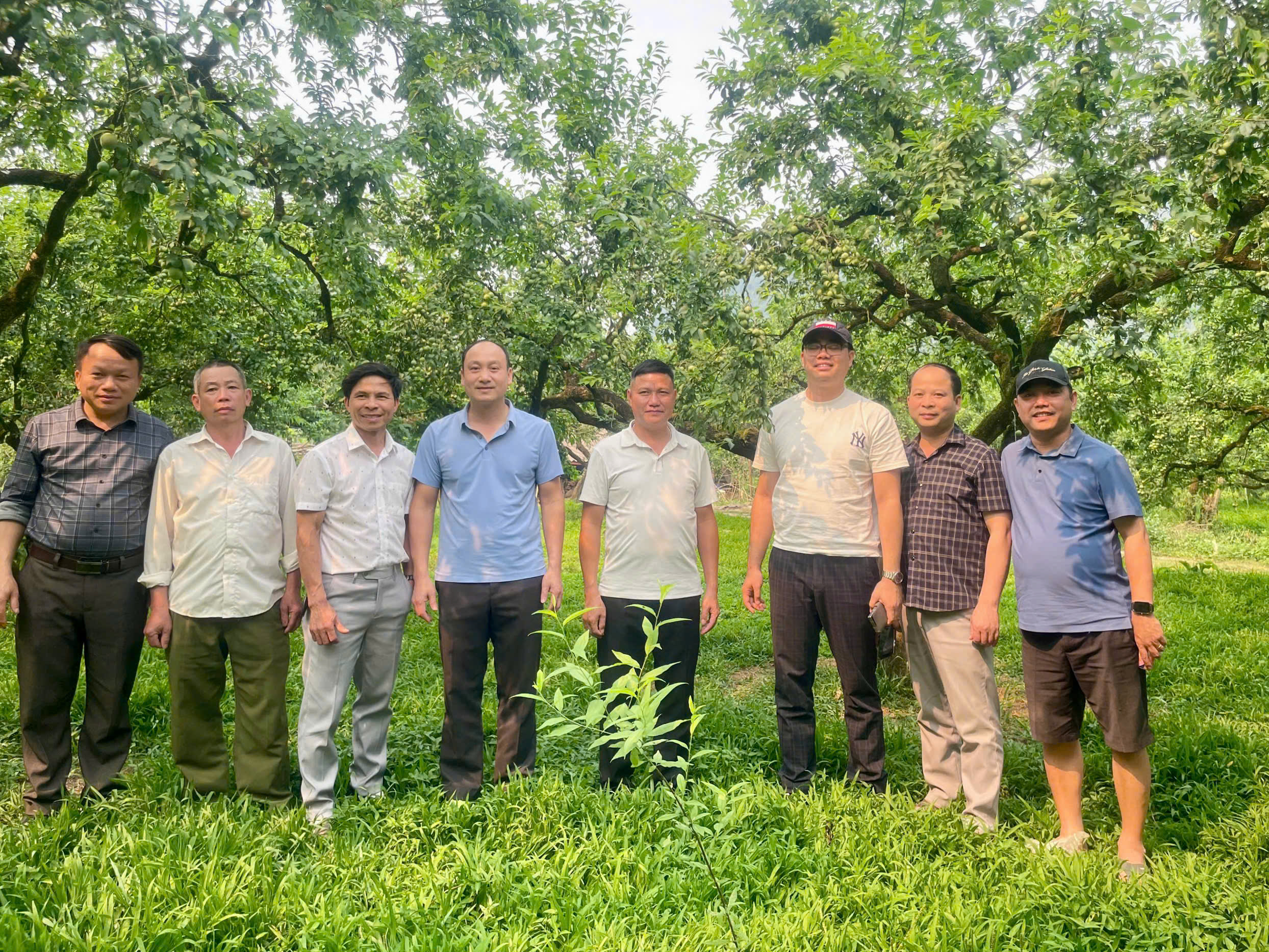 Kiên Đài học tập kinh nghiệm trồng mận tại Sơn La, hướng tới phát triển vùng cây ăn quả tập trung