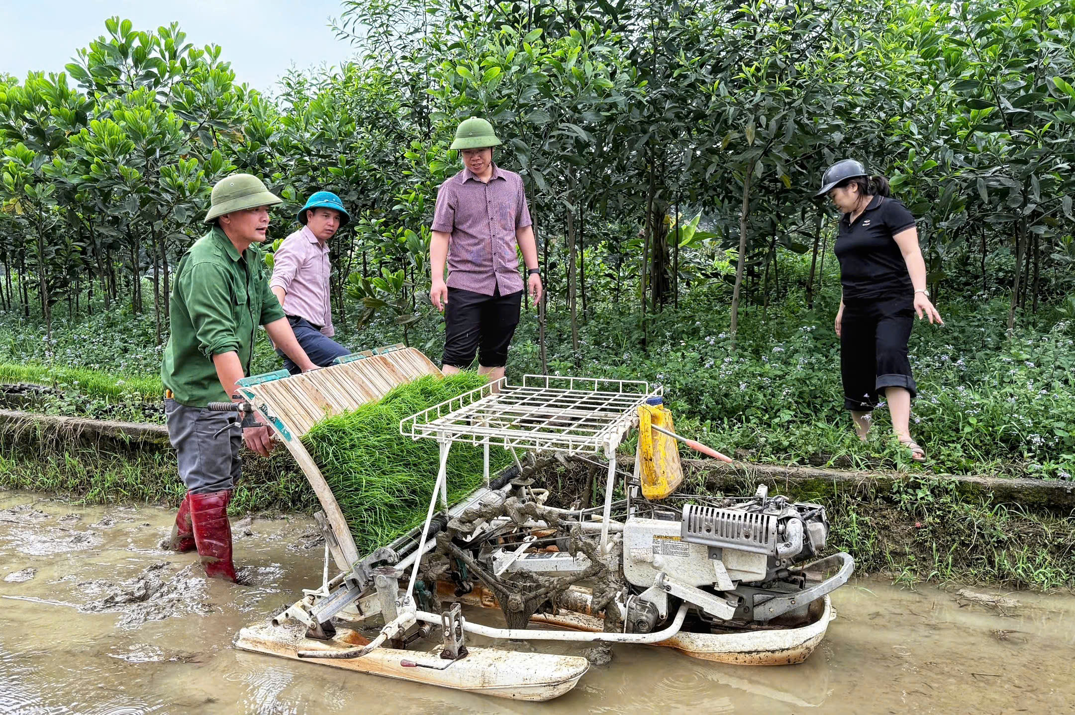 Tân Quang từng bước đưa cơ giới hóa vào sản xuất nông nghiệp