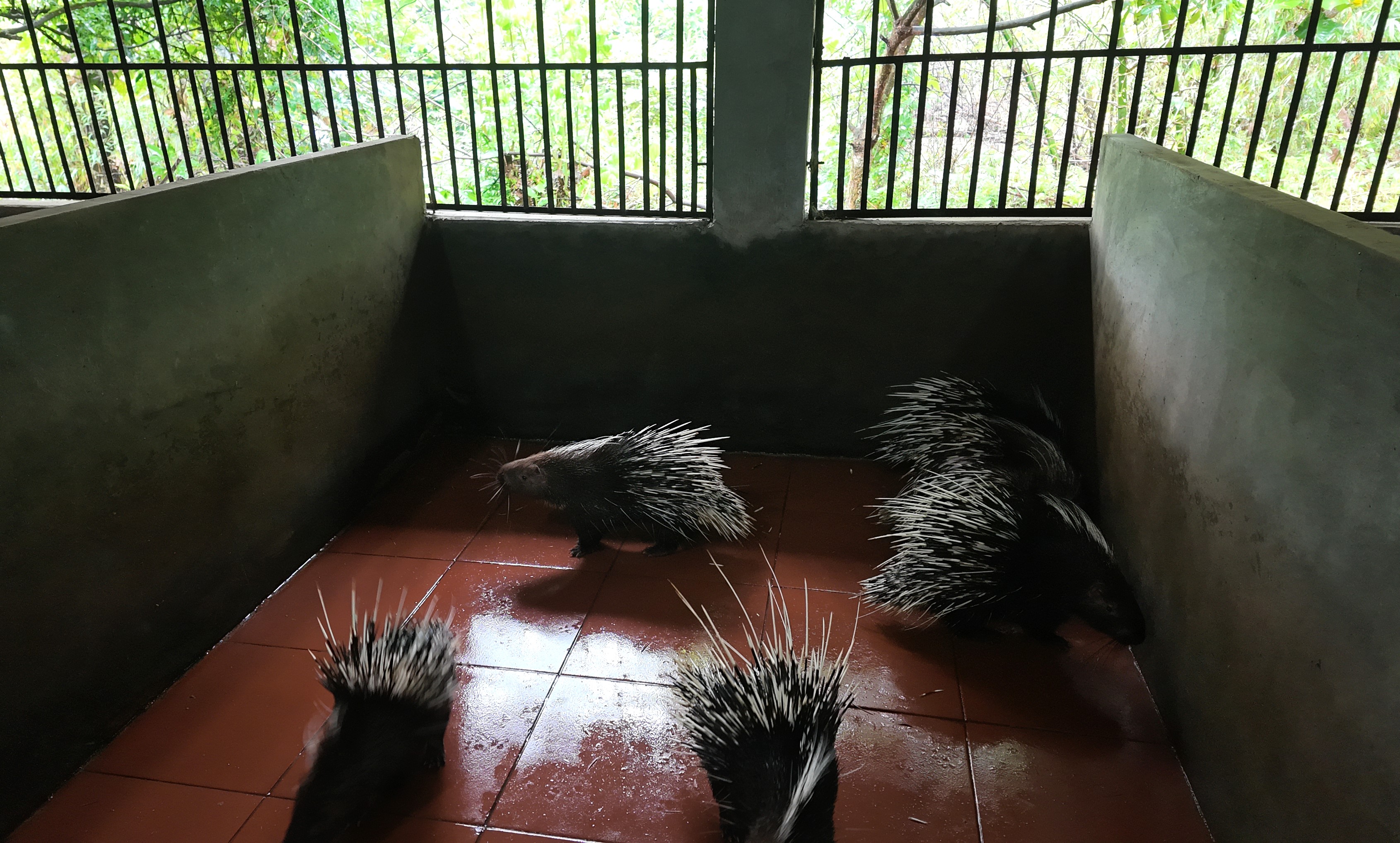 Ra mắt 10.JPG