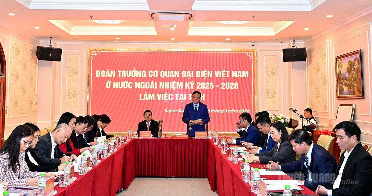 Phát huy vai trò cơ quan đại diện Việt Nam ở nước ngoài trong giai đoạn hội nhập mới