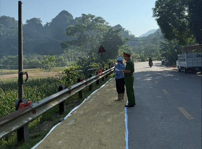 CẢNH BÁO NGUY HIỂM TỪ VIỆC PHƠI THÓC, RƠM RẠ TRÊN LÒNG ĐƯỜNG