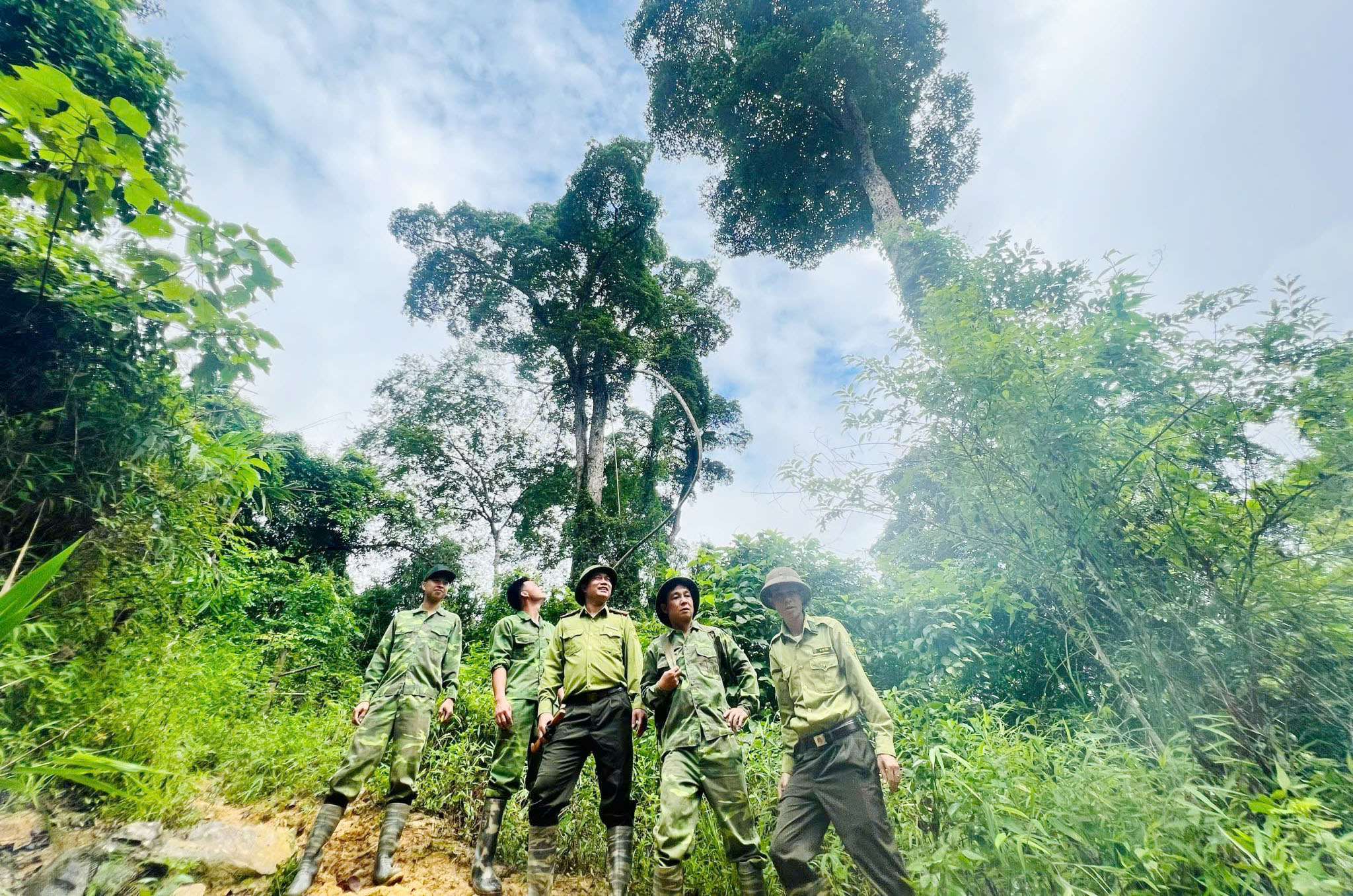 Tăng cường bảo vệ rừng và phòng cháy, chữa cháy rừng mùa khô trên địa bàn tỉnh Tuyên Quang