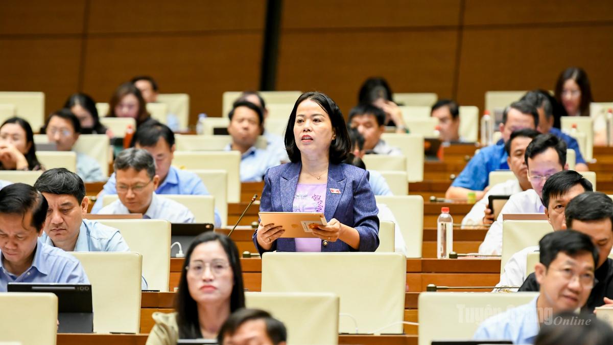 Đại biểu Lý Thị Lan: Cần kết nối chính sách với nguồn đất để giải quyết căn cơ đất ở, đất sản xuất cho đồng bào dân tộc thiểu số