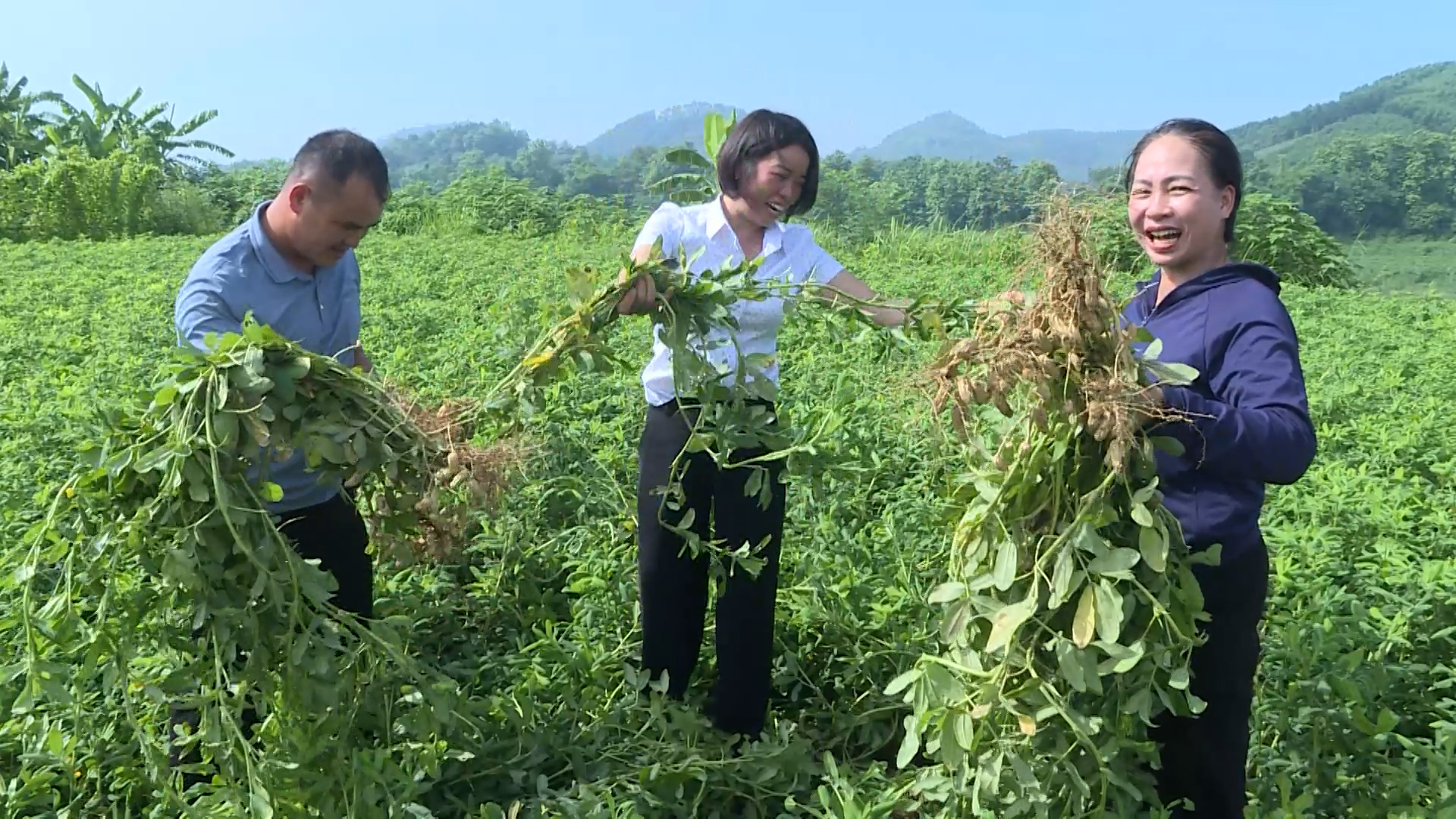 Hướng dẫn nộp trực tuyến hồ sơ đề nghị hưởng trợ cấp hưu tr&iacute; x&atilde; hội cho ngươi 75 tuổi dễ l&agrave;m.00_16_03_02.Still017.jpg