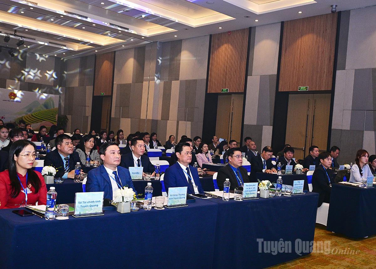 Hội nghị thu hút vốn đầu tư Hàn Quốc “K-Connect Tuyên Quang”