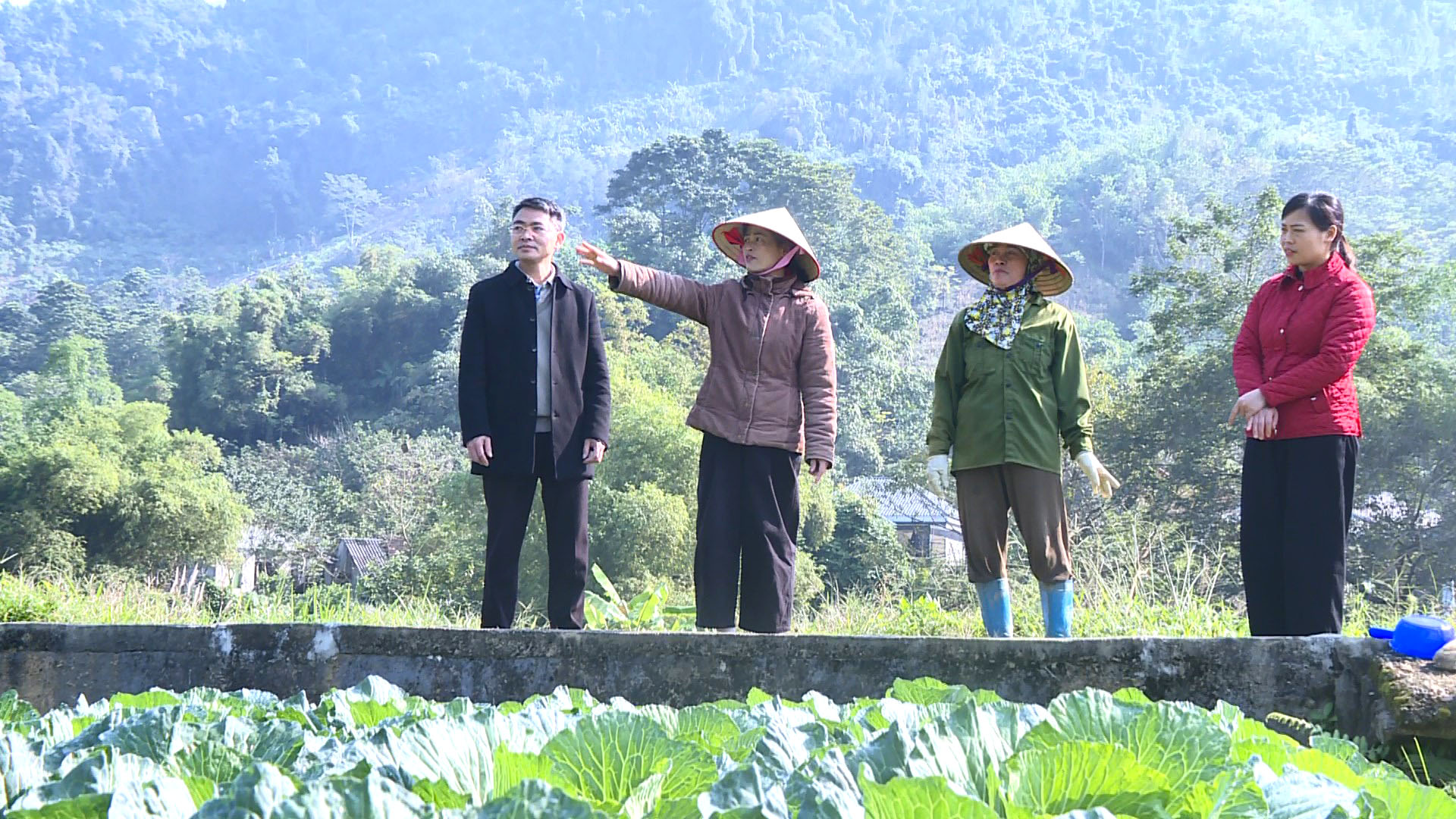 Lãnh đạo Đảng uỷ xã Yên Nguyên nắm bắt tình hình dư luận quần chúng nhân dân và tham quan mô hình trồng cây rau màu vụ Đông