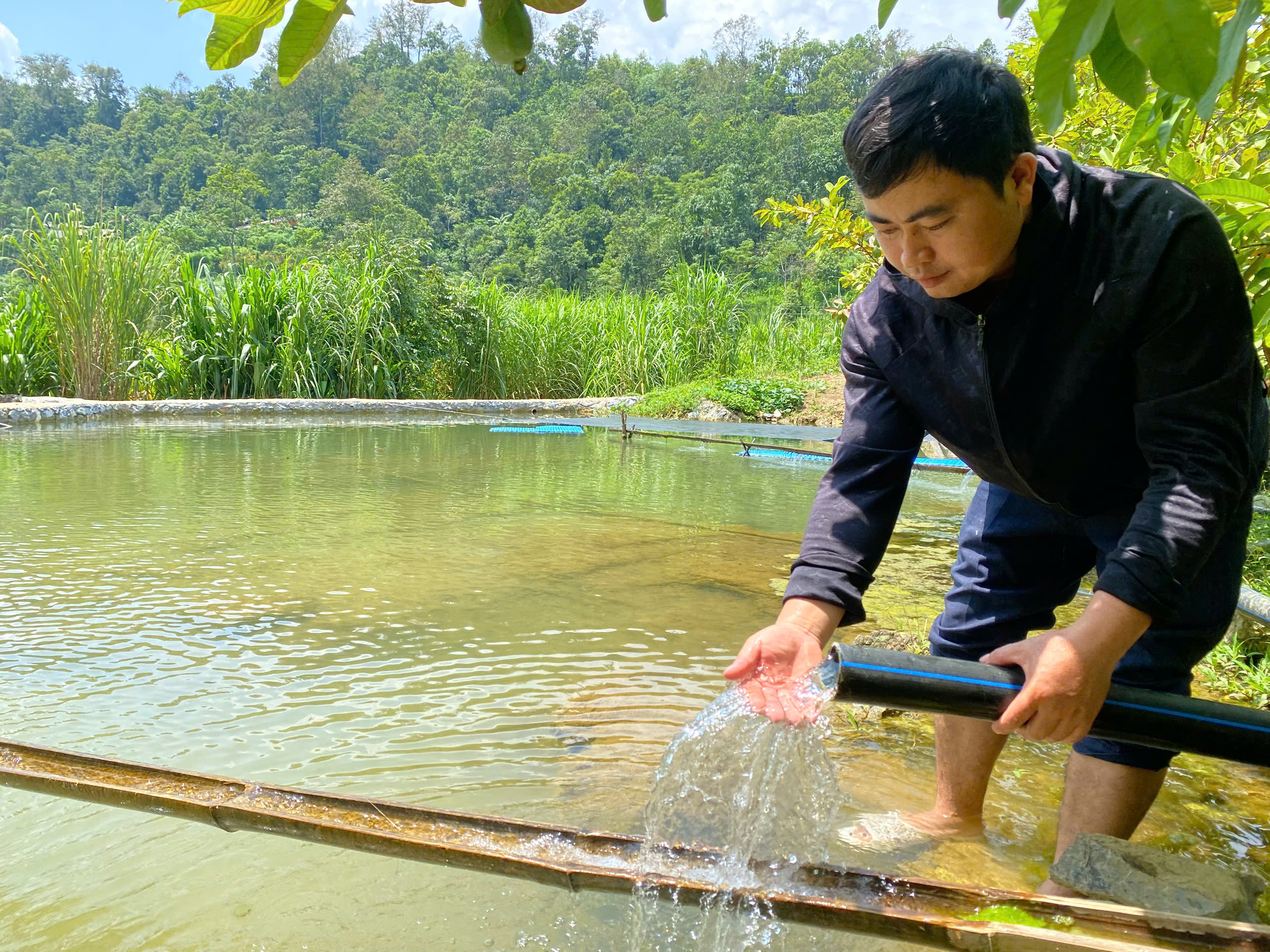 ĐẢNG VIÊN GƯƠNG MẪU PHÁT TRIỂN KINH TẾ, NÂNG CAO ĐỜI SỐNG GIA ĐÌNH 