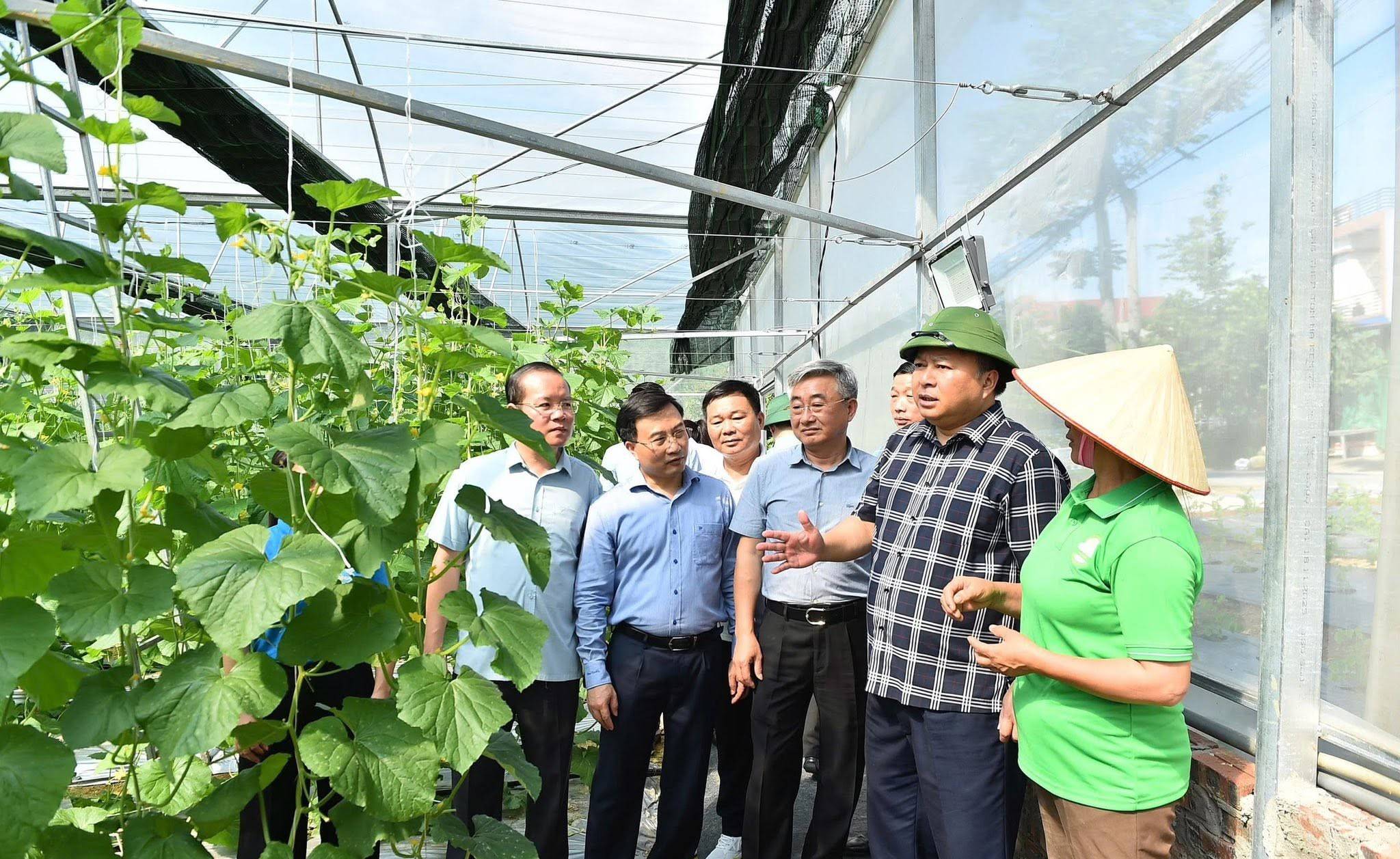 Tuyên Quang: Nhiều điểm sáng trong bức tranh kinh tế - xã hội 6 tháng đầu năm 2026