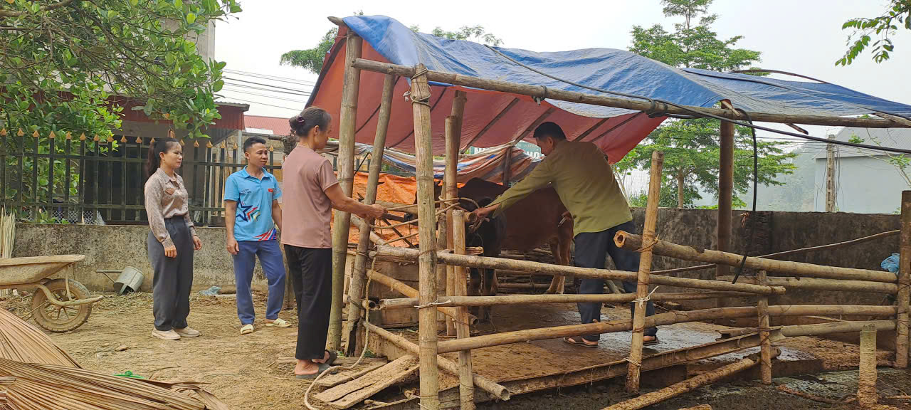 TĂNG CƯỜNG PHÒNG, CHỐNG BỆNH LỞ MỒM LONG MÓNG (LMLM) TRÊN ĐÀN GIA SÚC