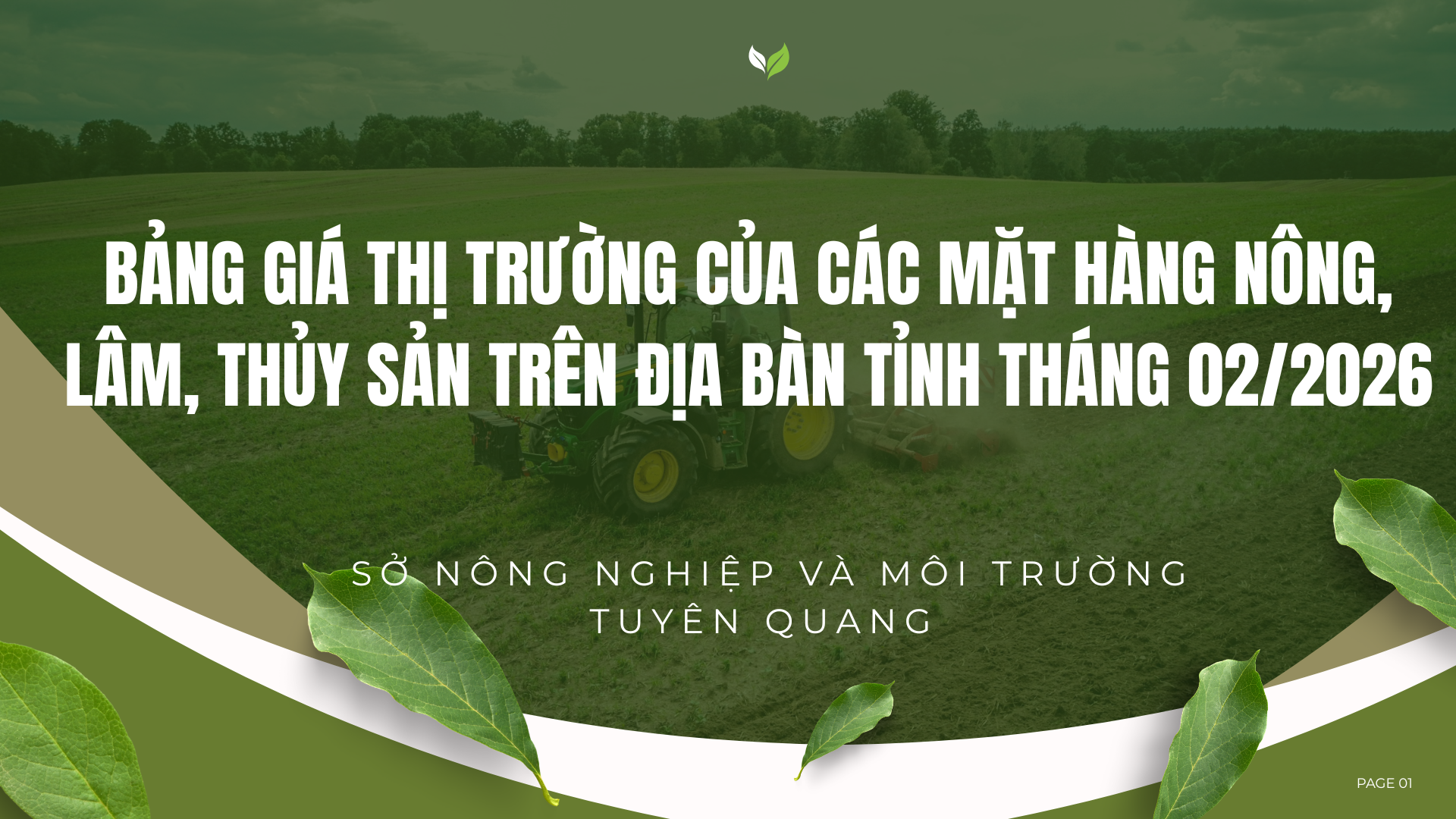 Thông báo bảng giá các mặt hàng nông, lâm, thủy sản trên địa bàn tỉnh Tuyên Quang (T2.2026)